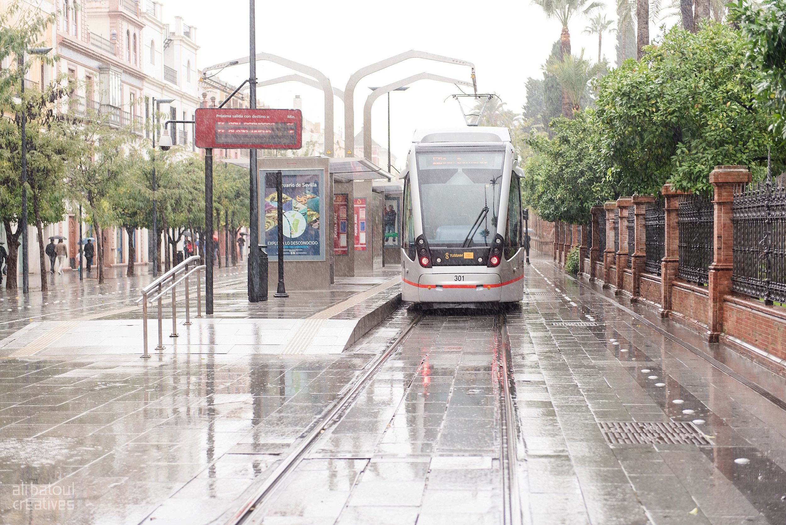 It rained most of the time we were in Seville. It didn't damper our mood, but we had to go through a couple of umbrellas.
