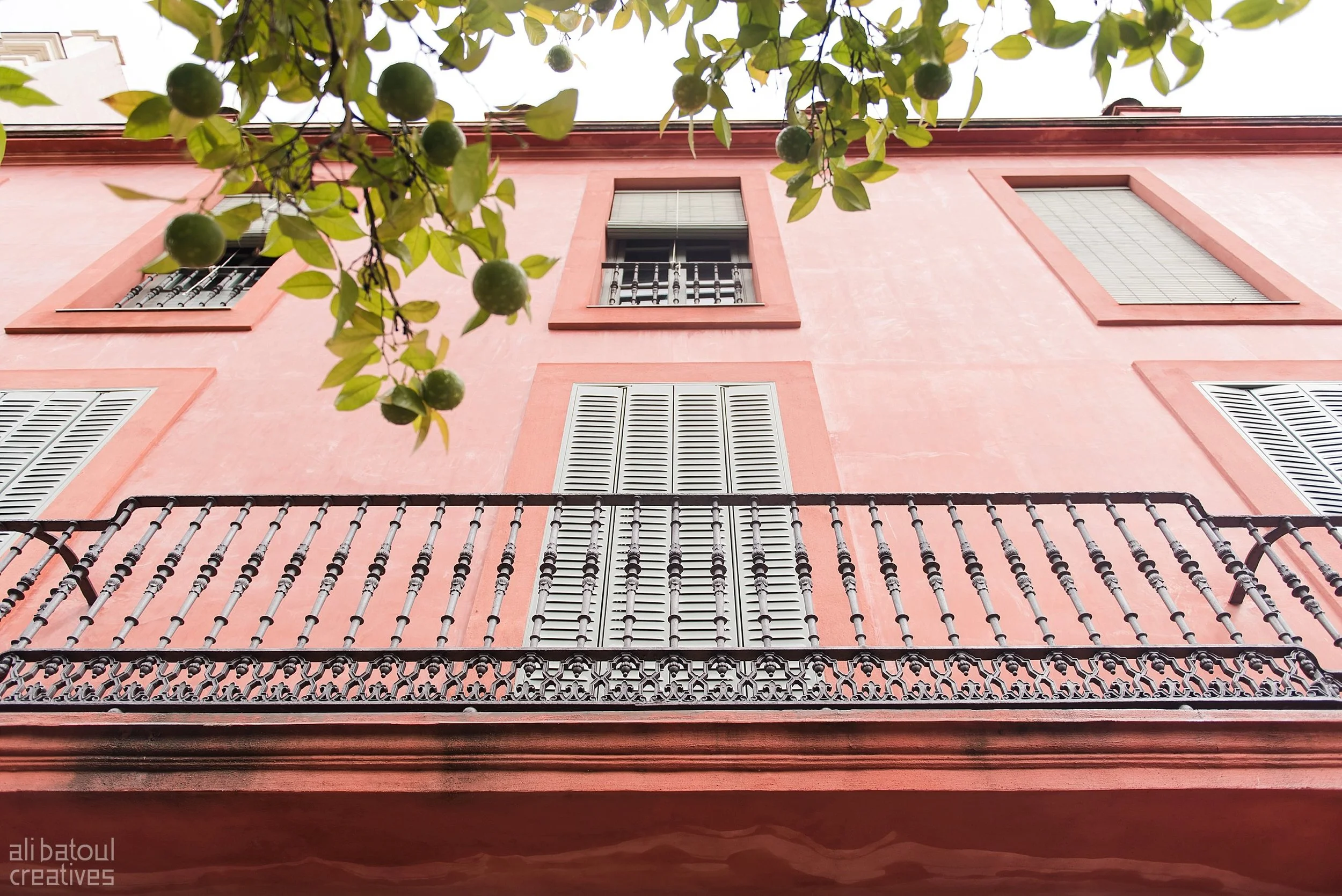 Seville - Ali Batoul Creatives-9_Stomped.jpg
