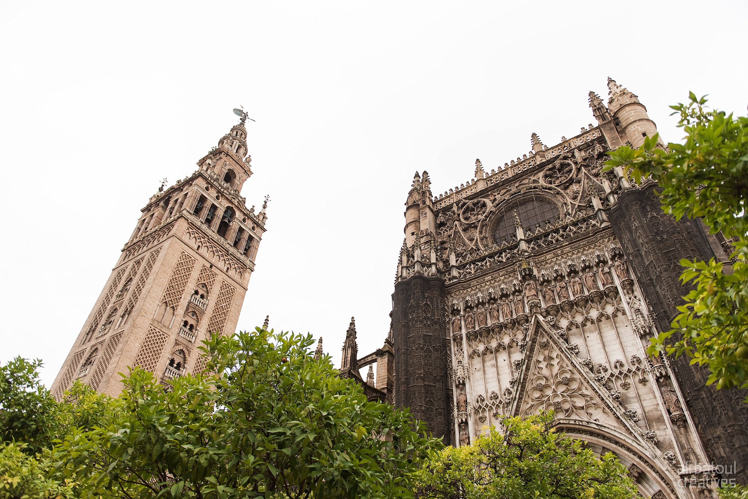 Seville - Ali Batoul Creatives-26_Stomped.jpg