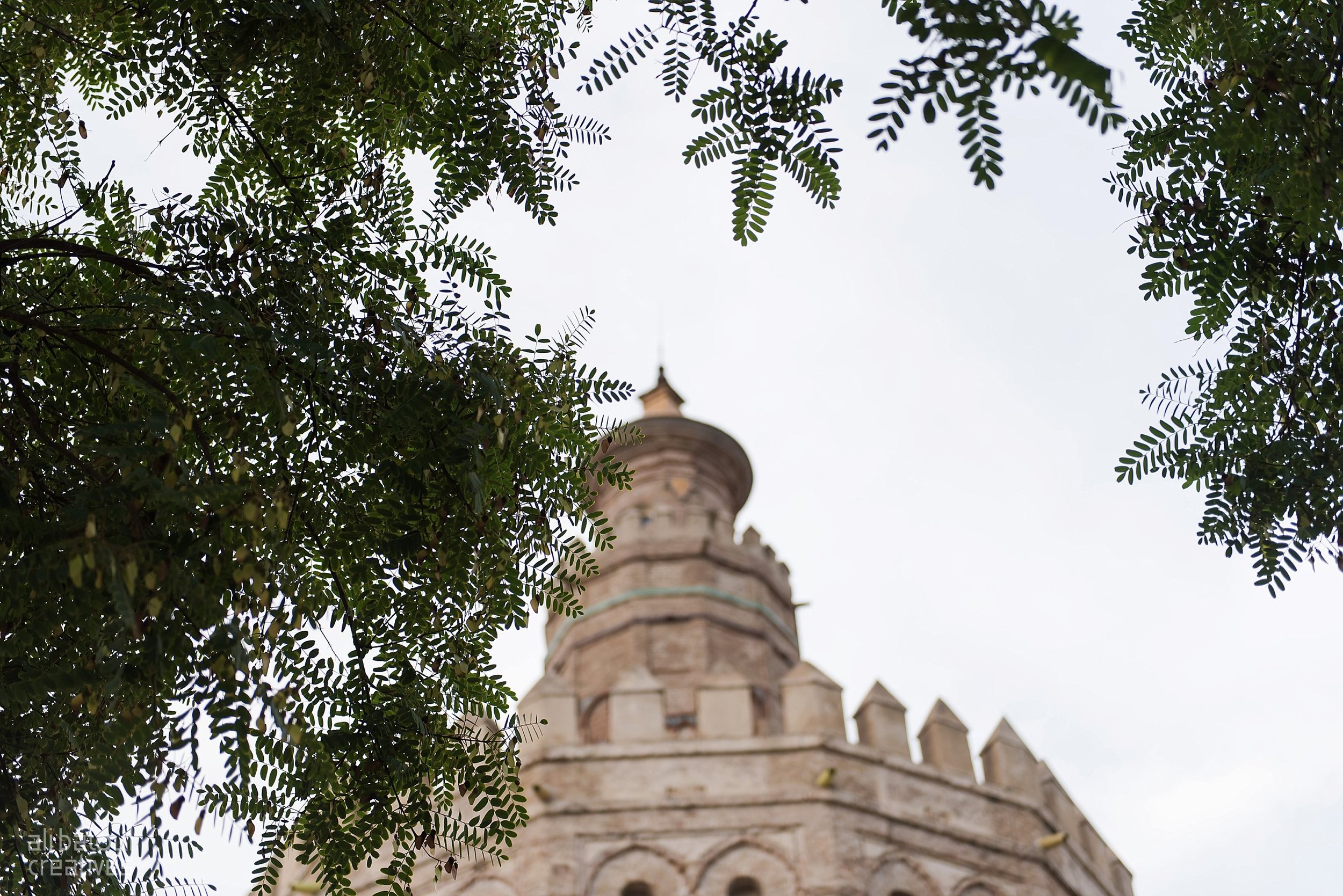 Seville - Ali Batoul Creatives-53_Stomped.jpg