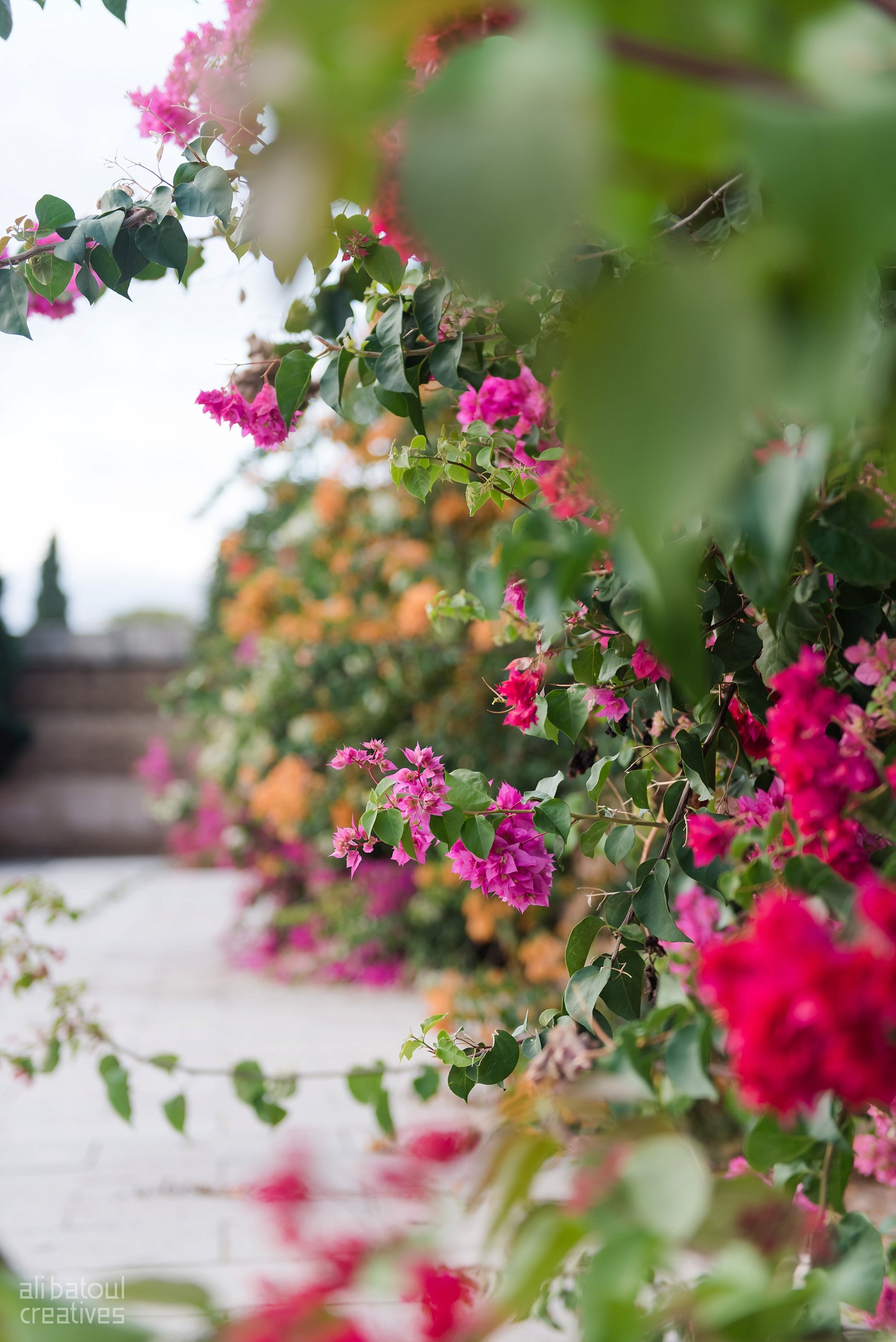  *Sigh* &nbsp;The flowers were so gorgeous! 