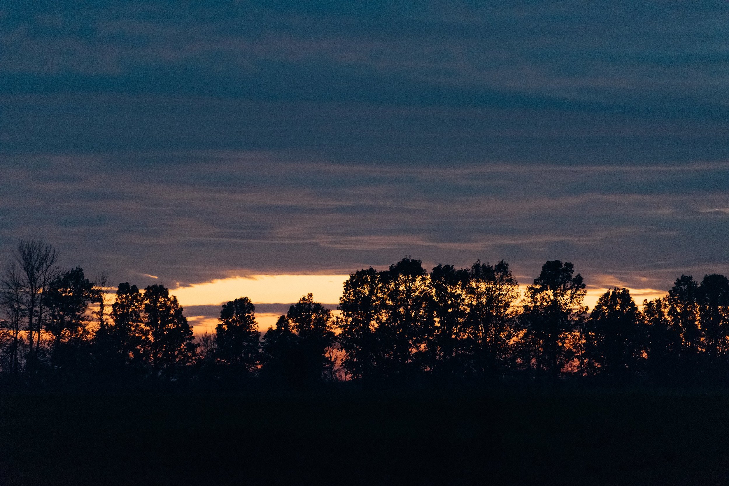 Ali and Batoul Photography - light, airy, indie documentary Ottawa wedding photographer_0309.jpg