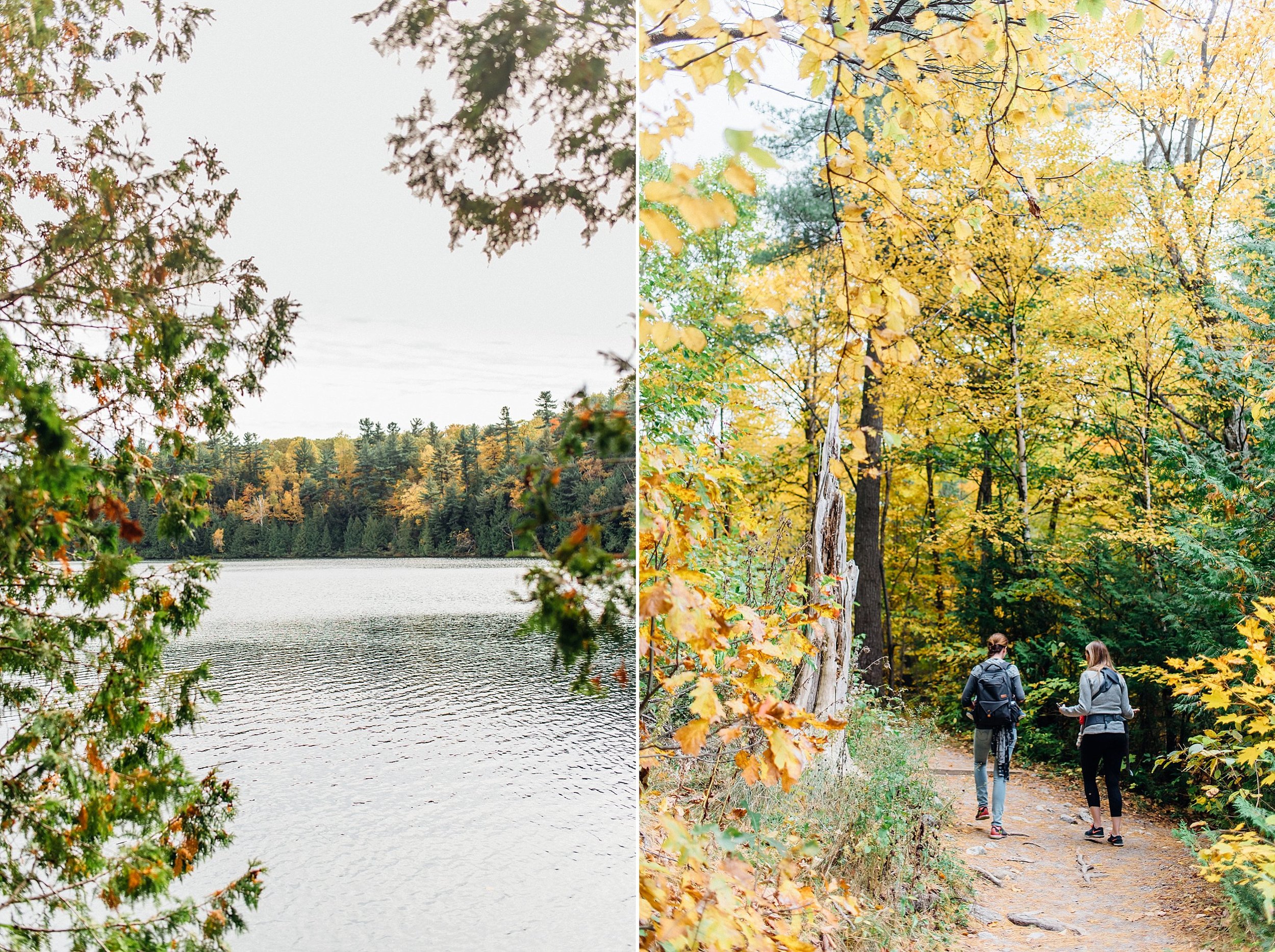 Gatineau Park Photos | Ali and Batoul Photography_-2.jpg