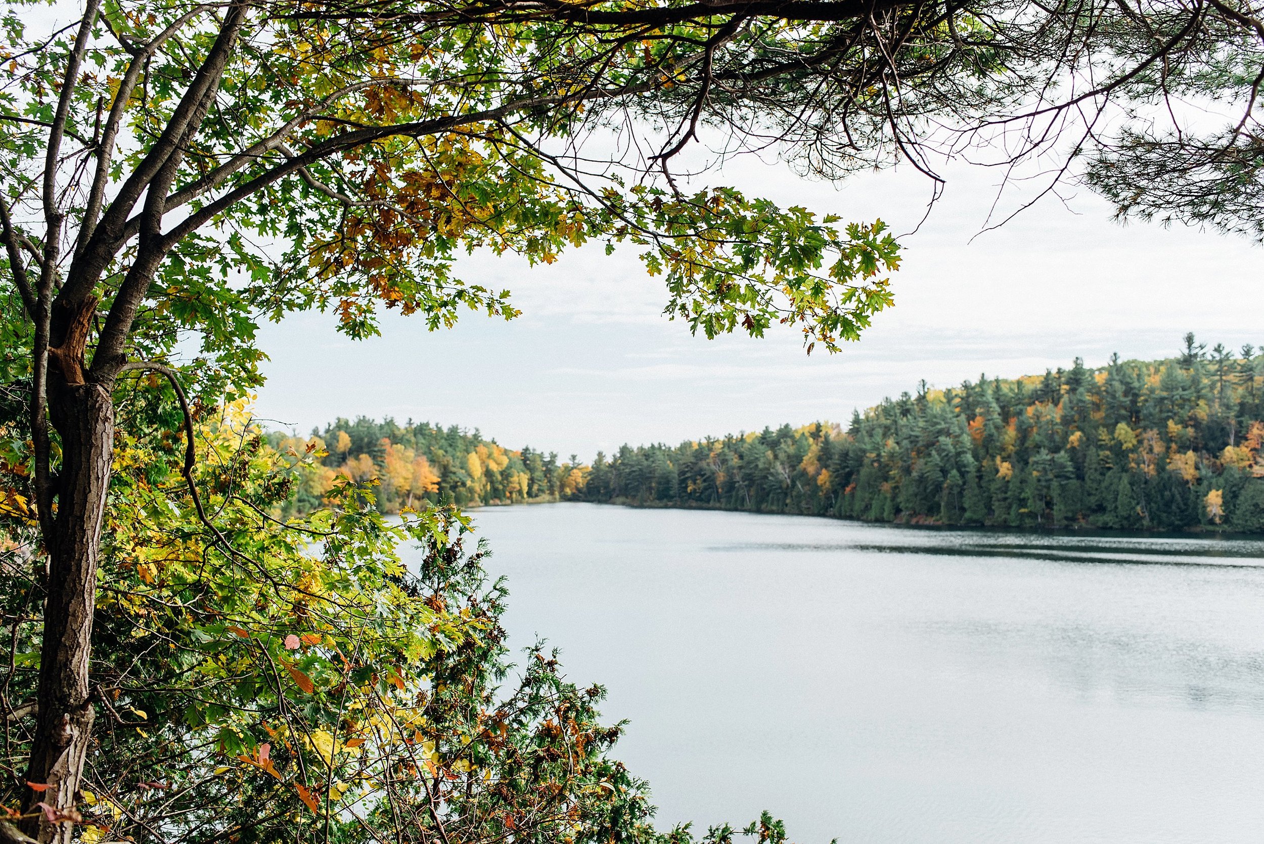 Gatineau Park Photos | Ali and Batoul Photography_-4.jpg