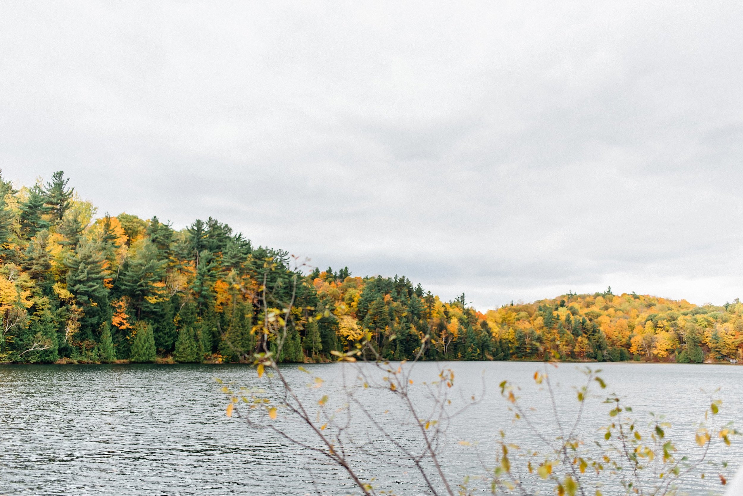 Gatineau Park Photos | Ali and Batoul Photography_-18.jpg