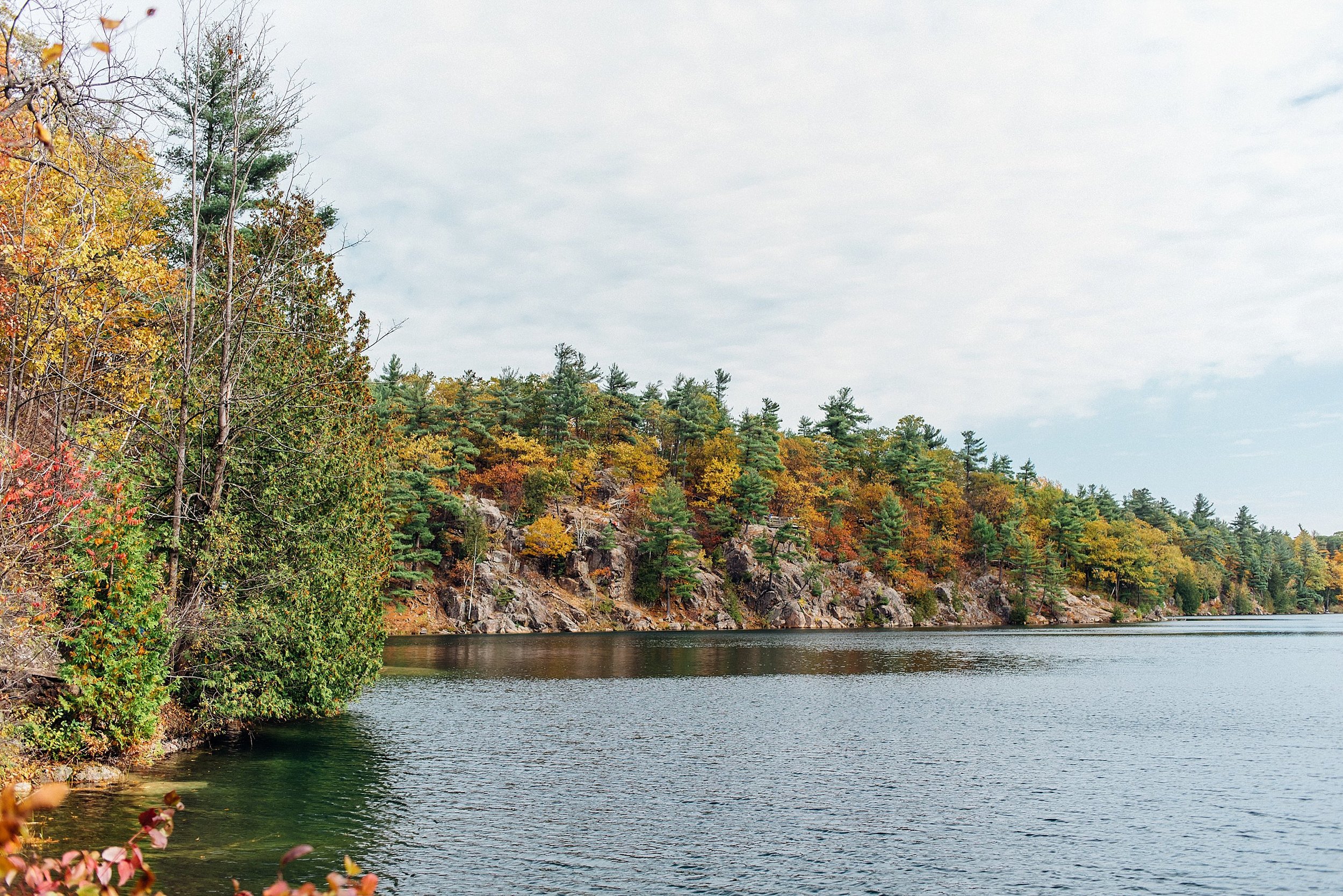 Gatineau Park Photos | Ali and Batoul Photography_.jpg