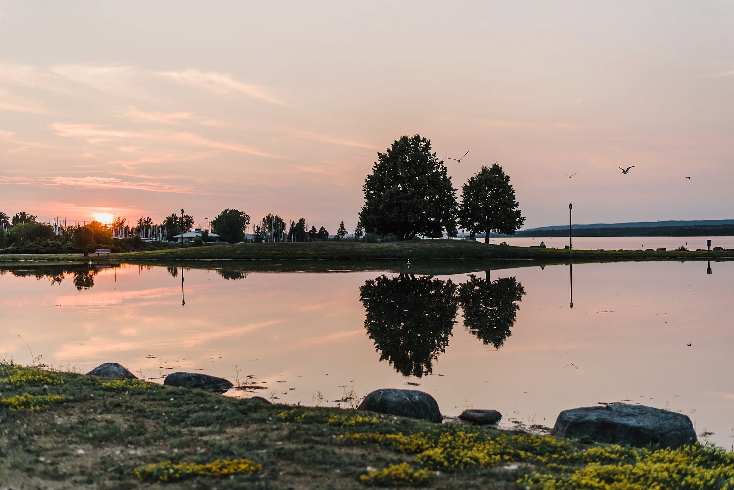 light airy indie fine art ottawa wedding photographer | Ali and Batoul Photography_0326.jpg