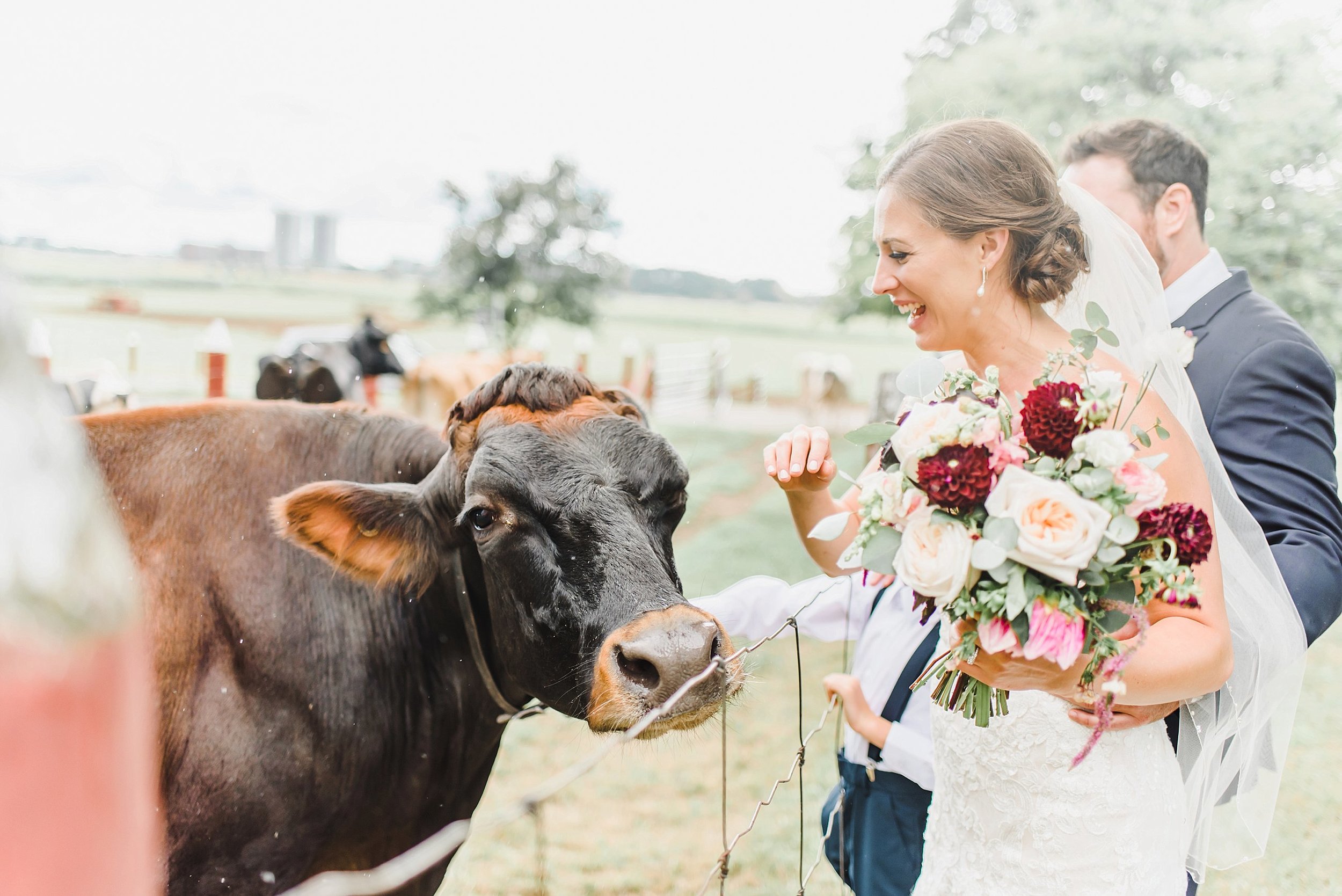  We had a few minutes to greet the cows who went out to pasture that afternoon! 