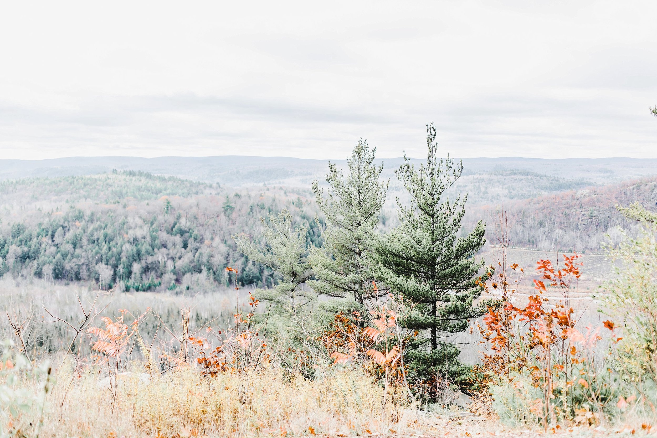  A breathtaking view of Gatineau Park even in November! 
