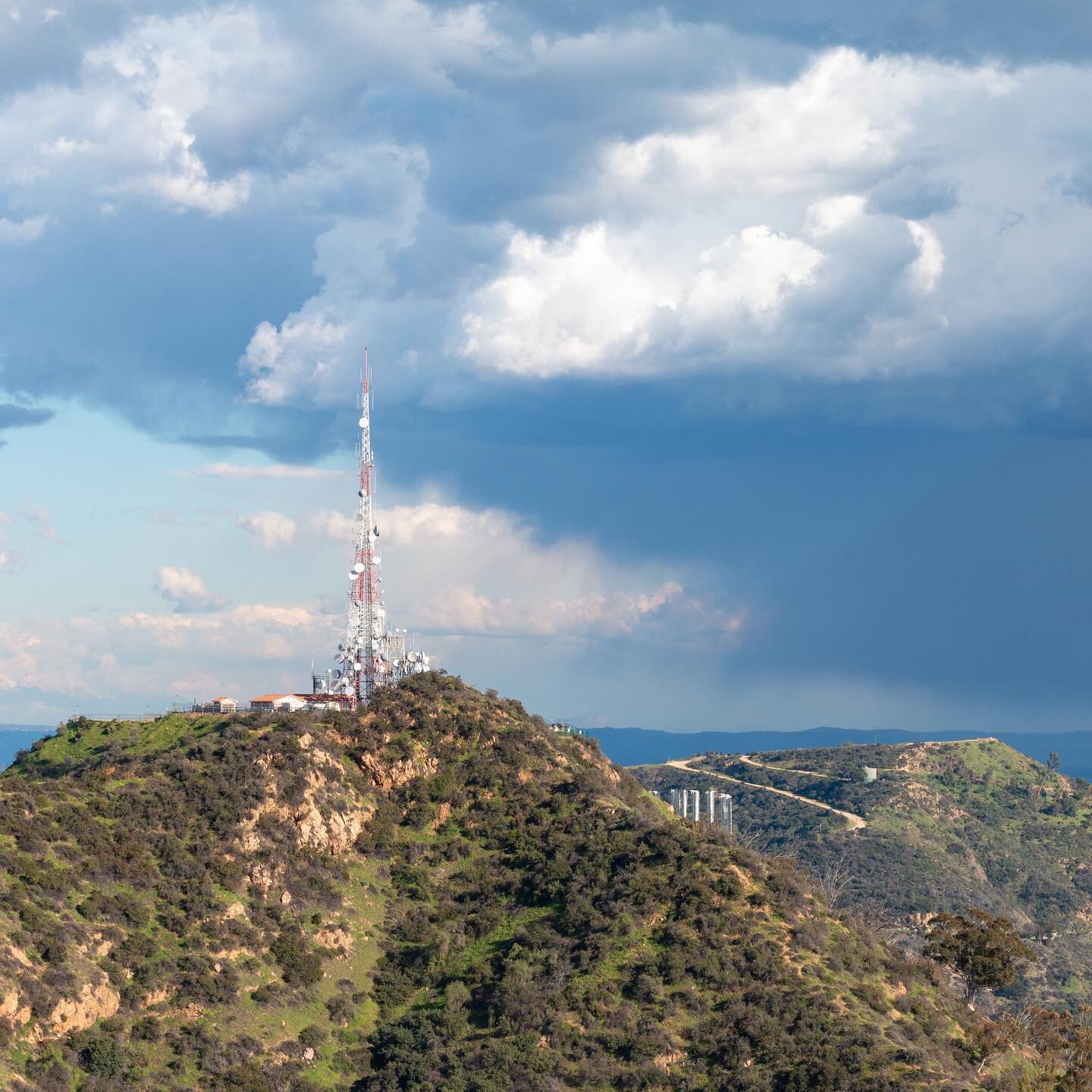 Behind the Hollywood Sign 🎬
#hike #wonderviewtrail #landscape #hollywoodhills #hollywoodsign #losangeles #california #nature