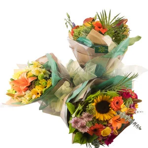 fall mixed bunch.jpg