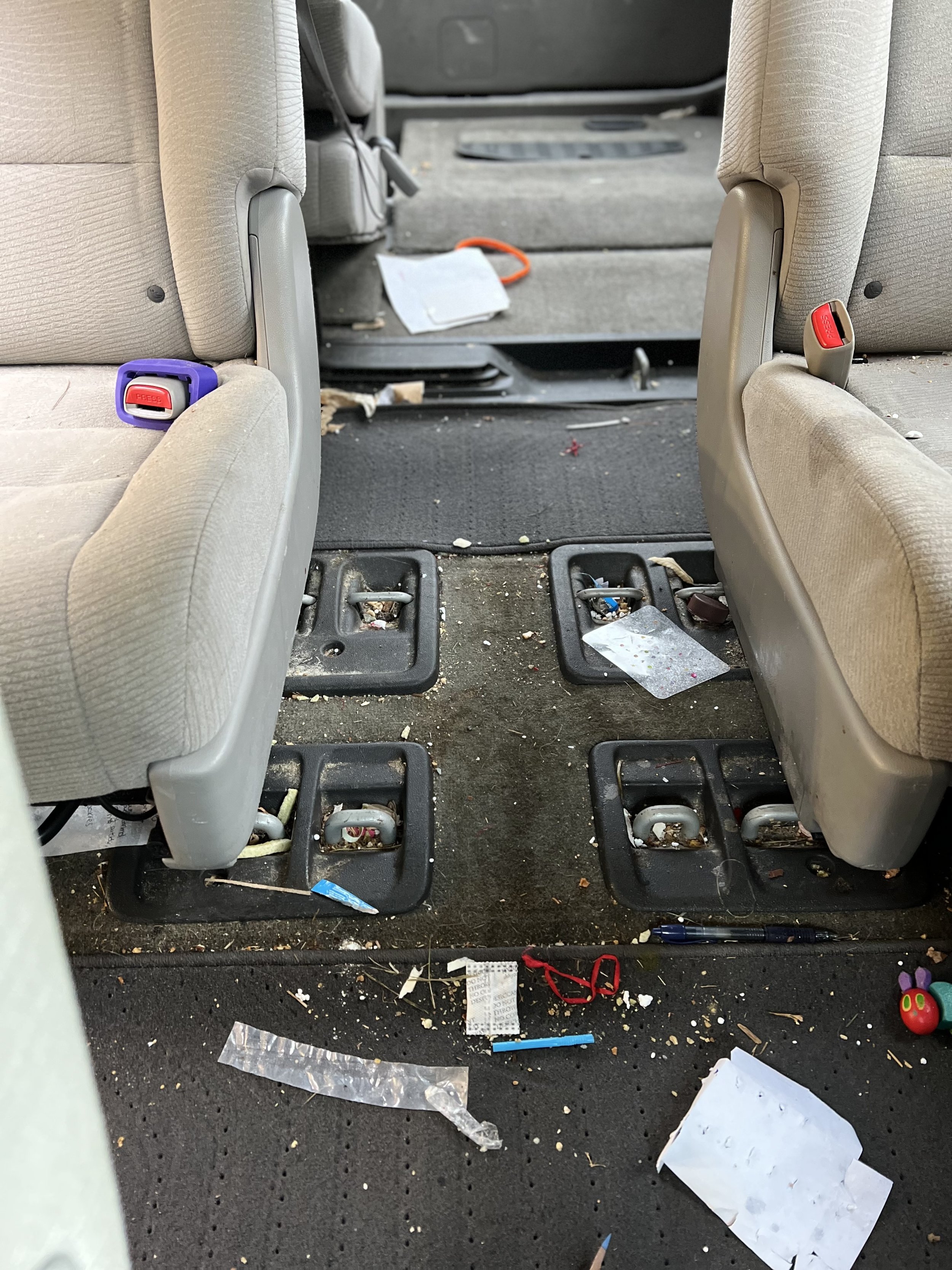 Before & After — Virginia Auto Detailing