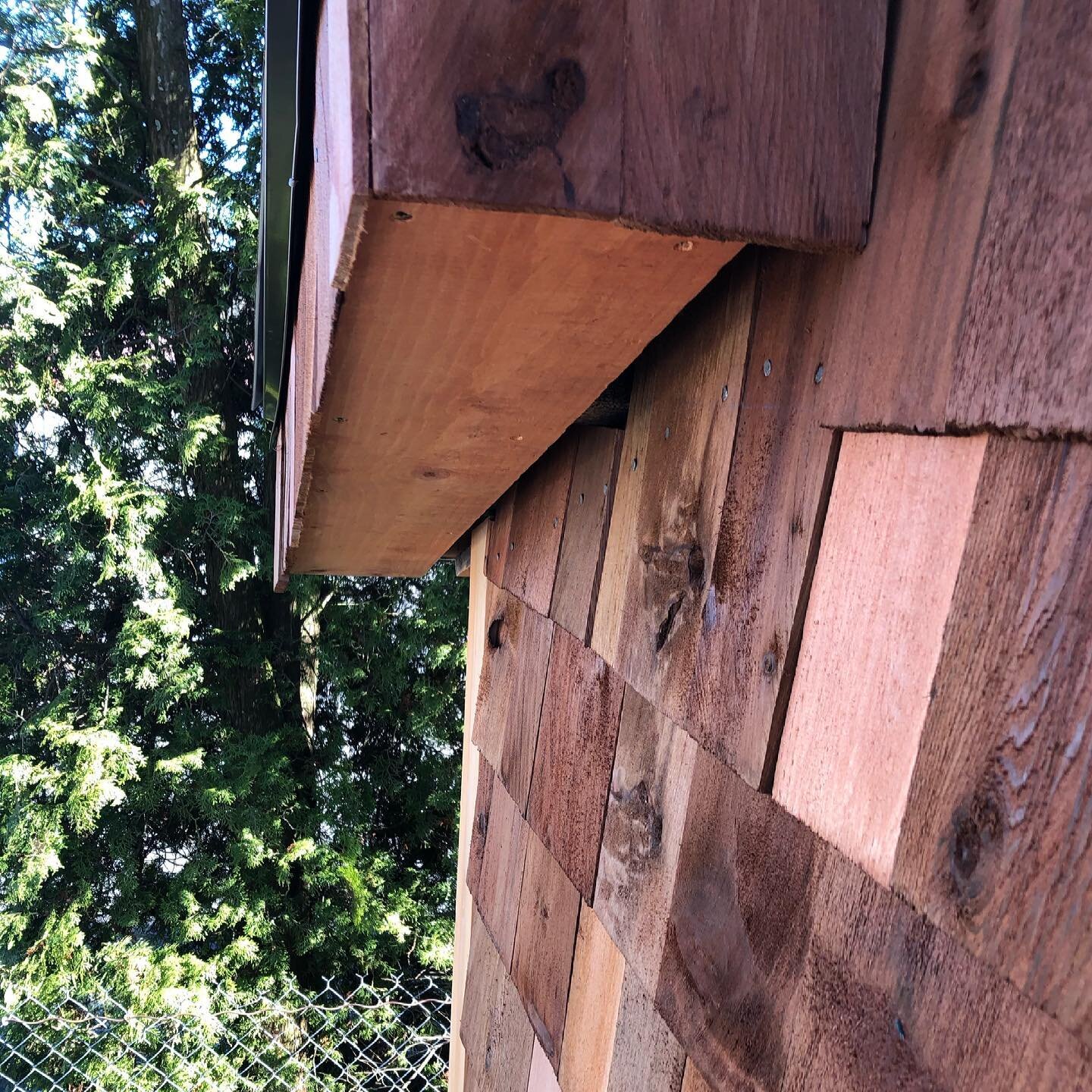 The unique details of each shingle are what makes the full appearance so wonderful.

#cedarshakes #tinyhouse #diy