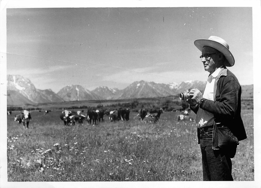 Bruce Porter photographing the cows on the summer range on Elk Ranch in Grand Teton National Park (around 1956).