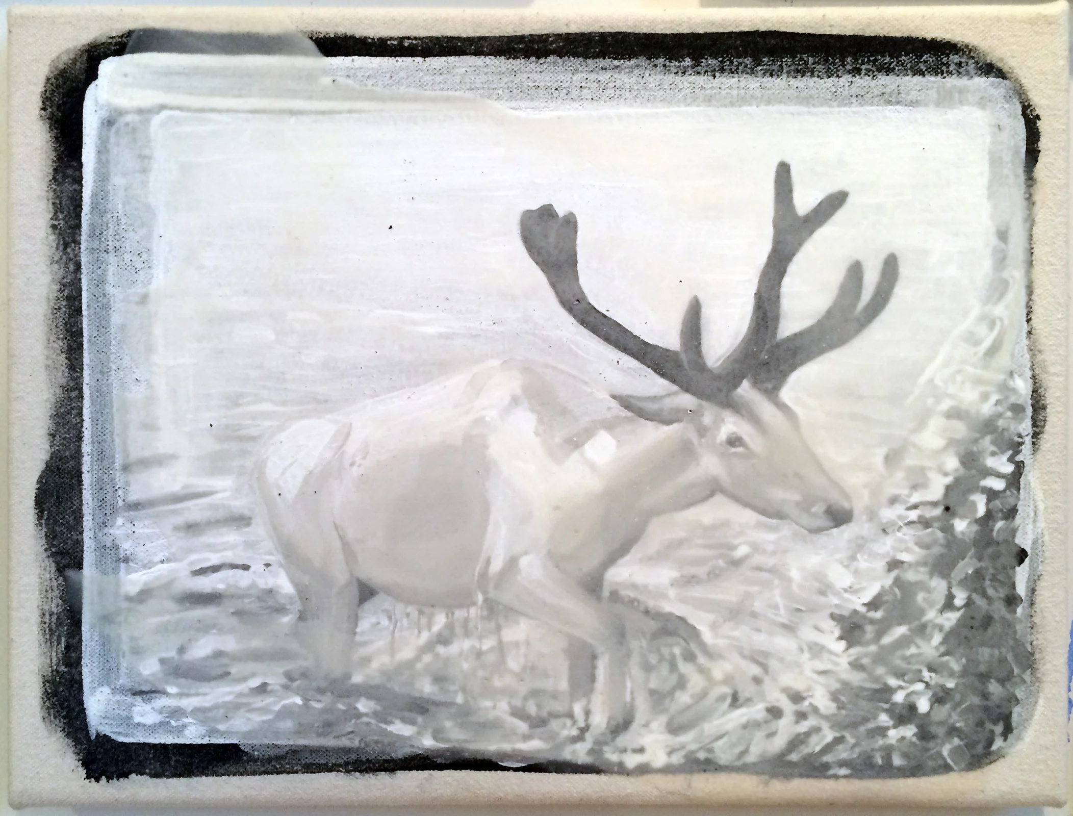 from Atlas: Stag, 2016 Gesso on canvas 9 x 12 inches