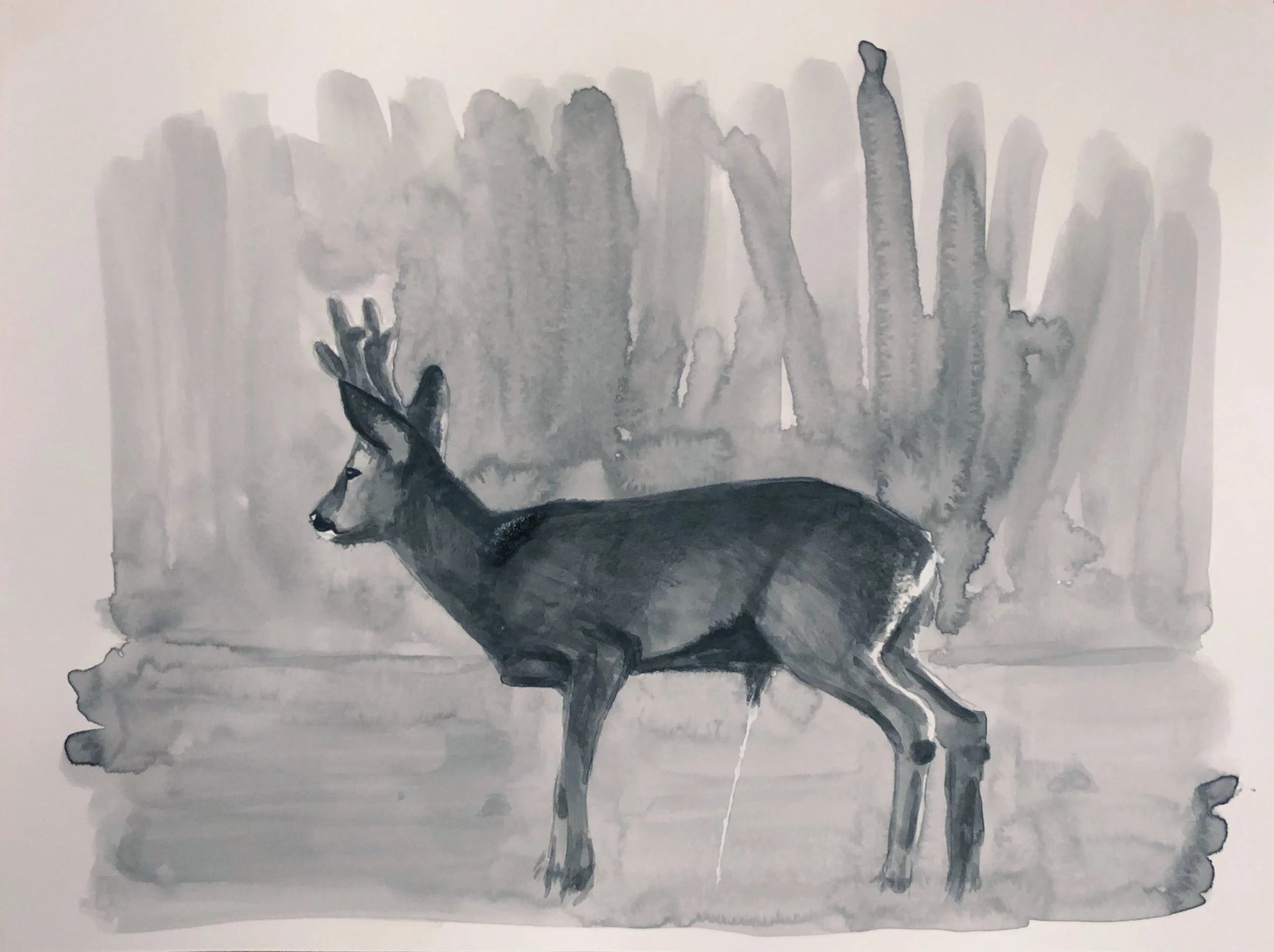 DeerPiss.jpg