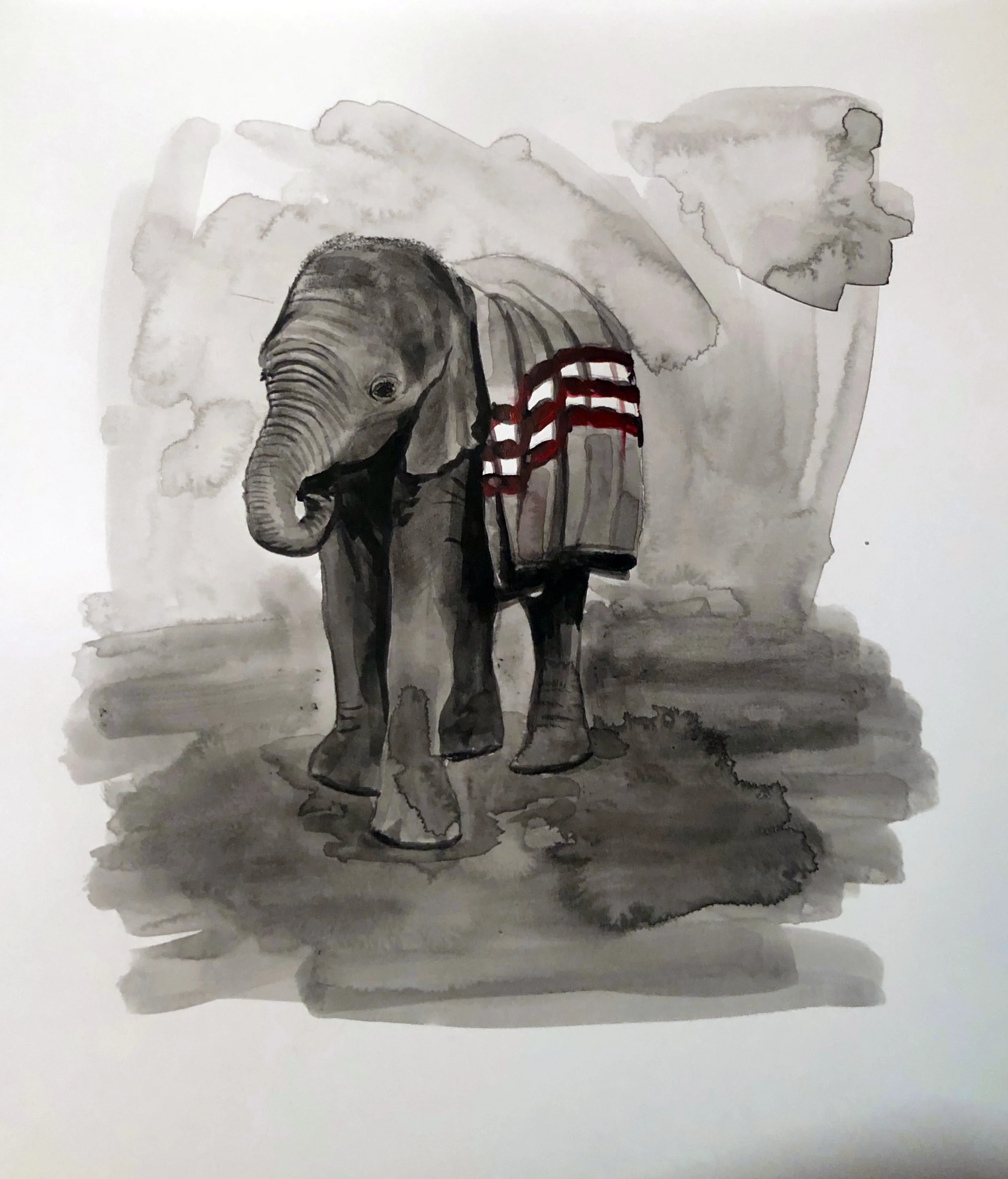 ElephantCalf.jpg