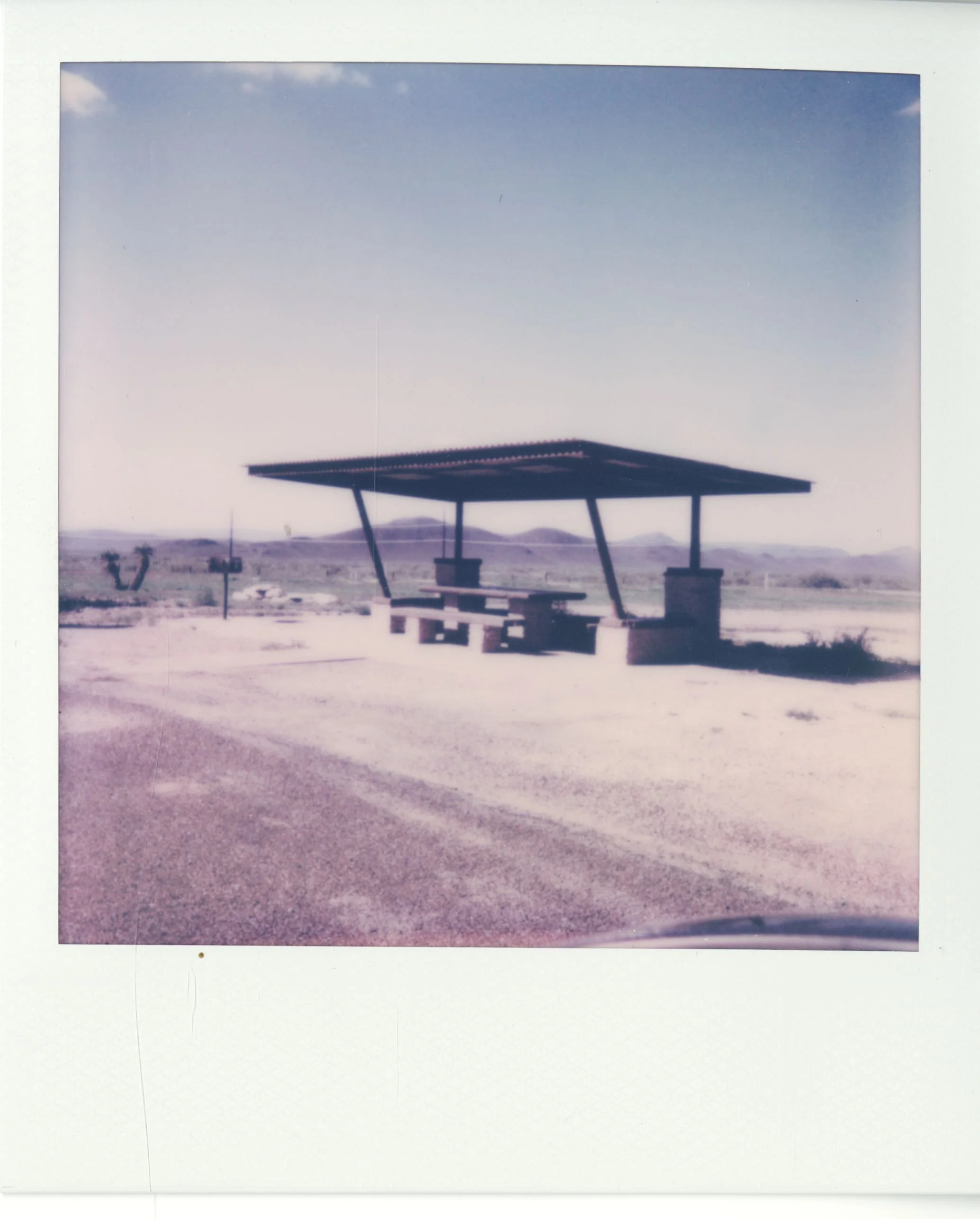 polaroid (4).jpg