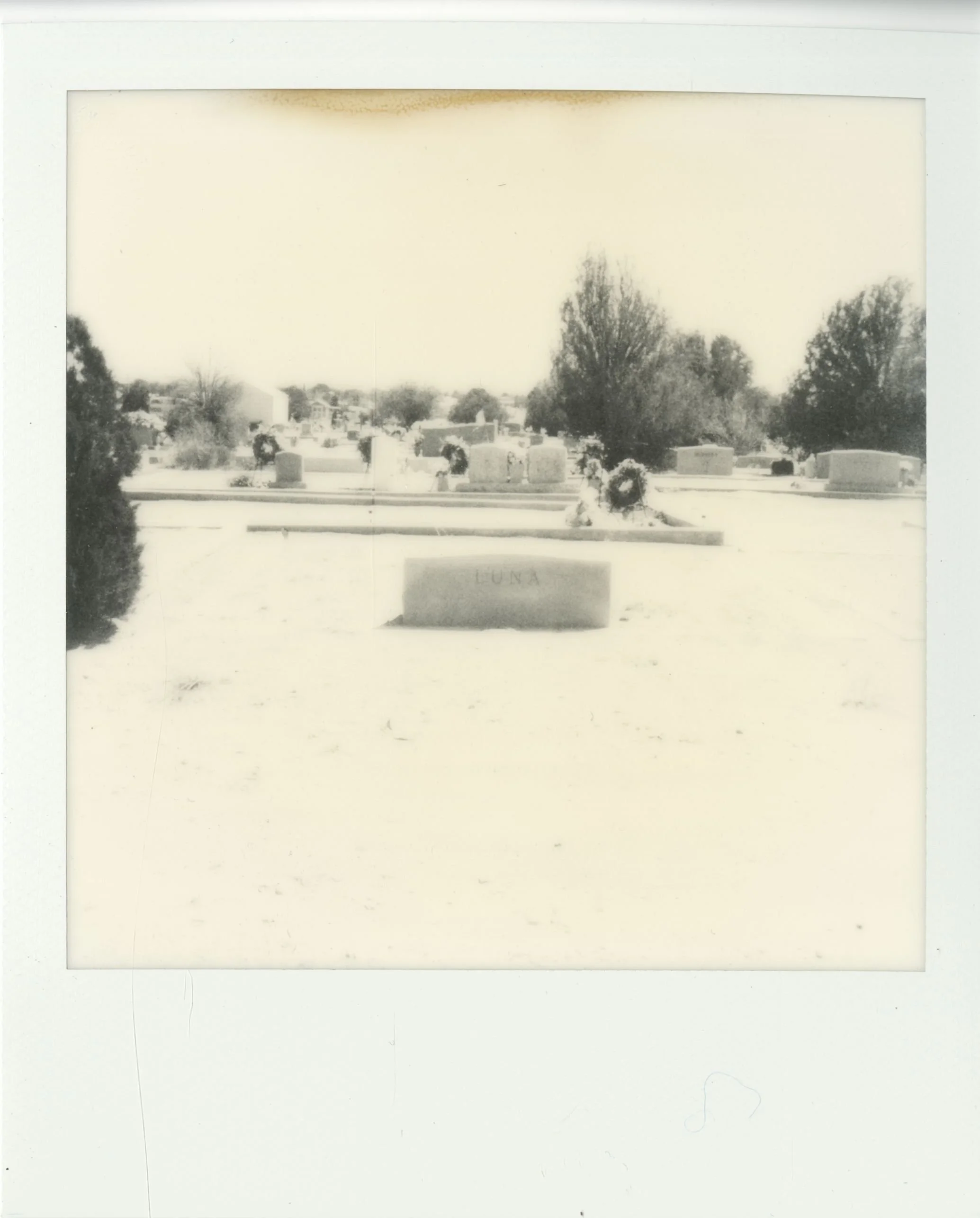polaroid (6).jpg