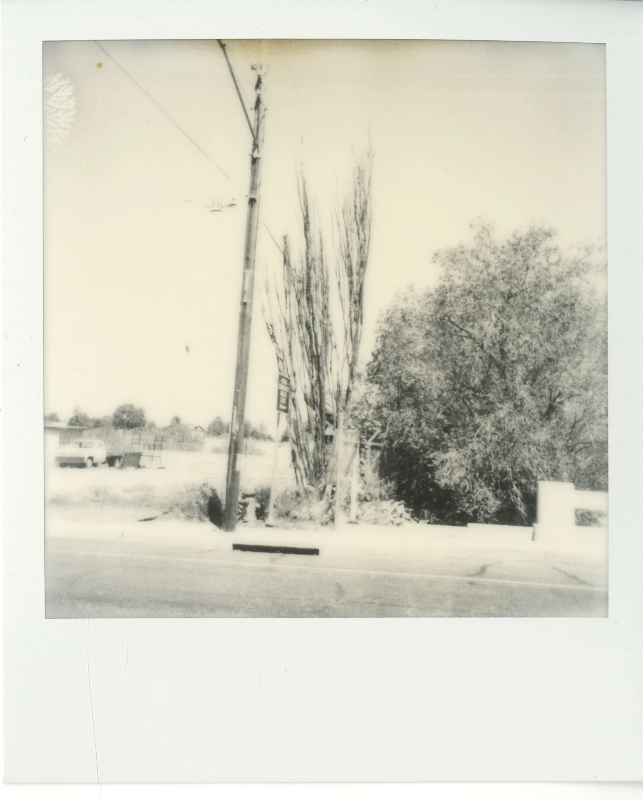 polaroid (7).jpg