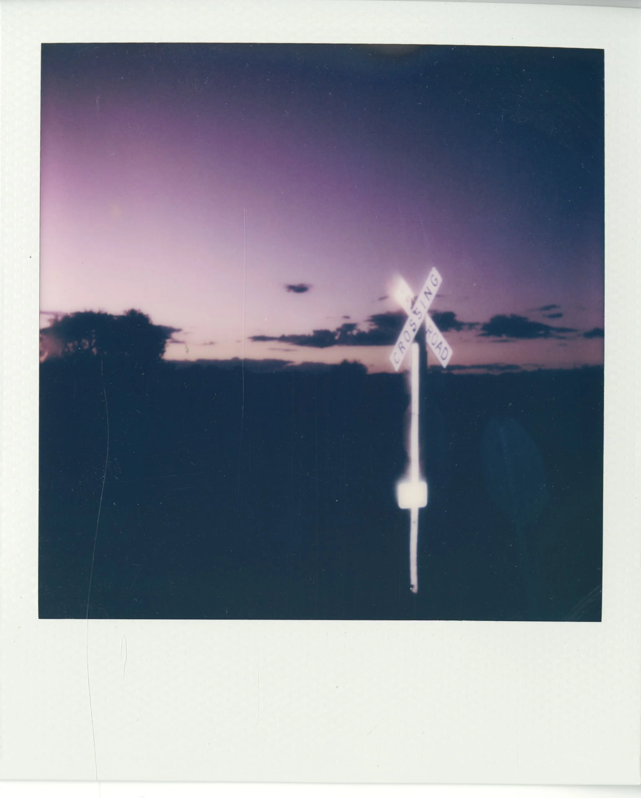 polaroid (9).jpg