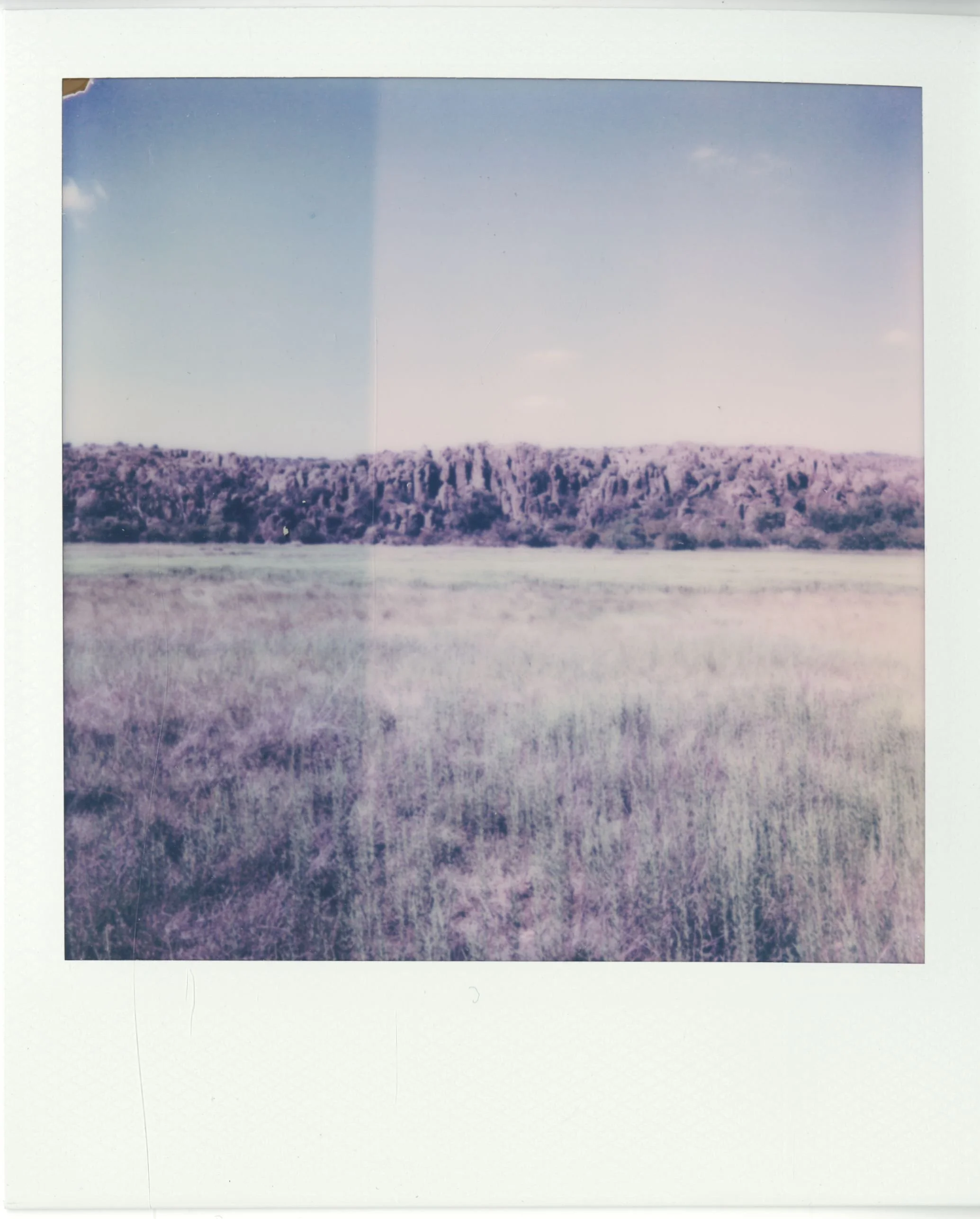 polaroid (11).jpg