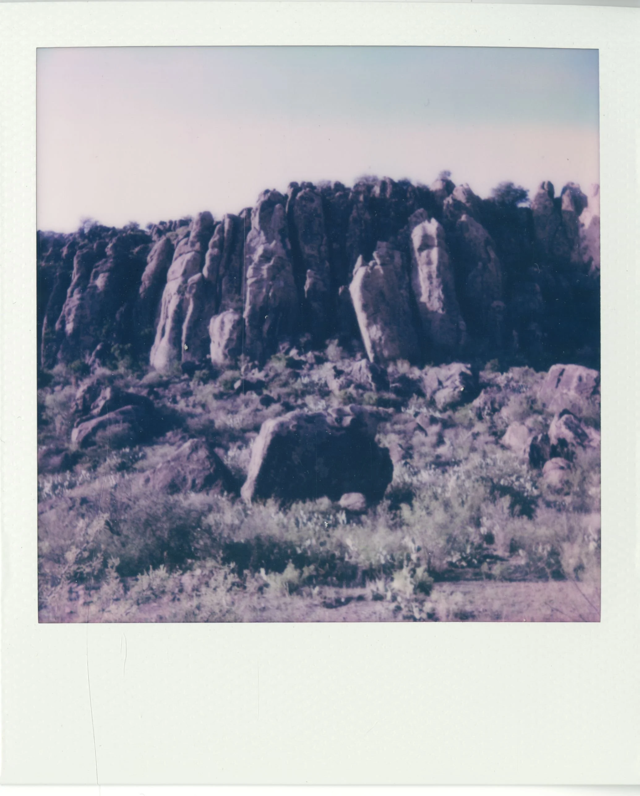 polaroid (14).jpg