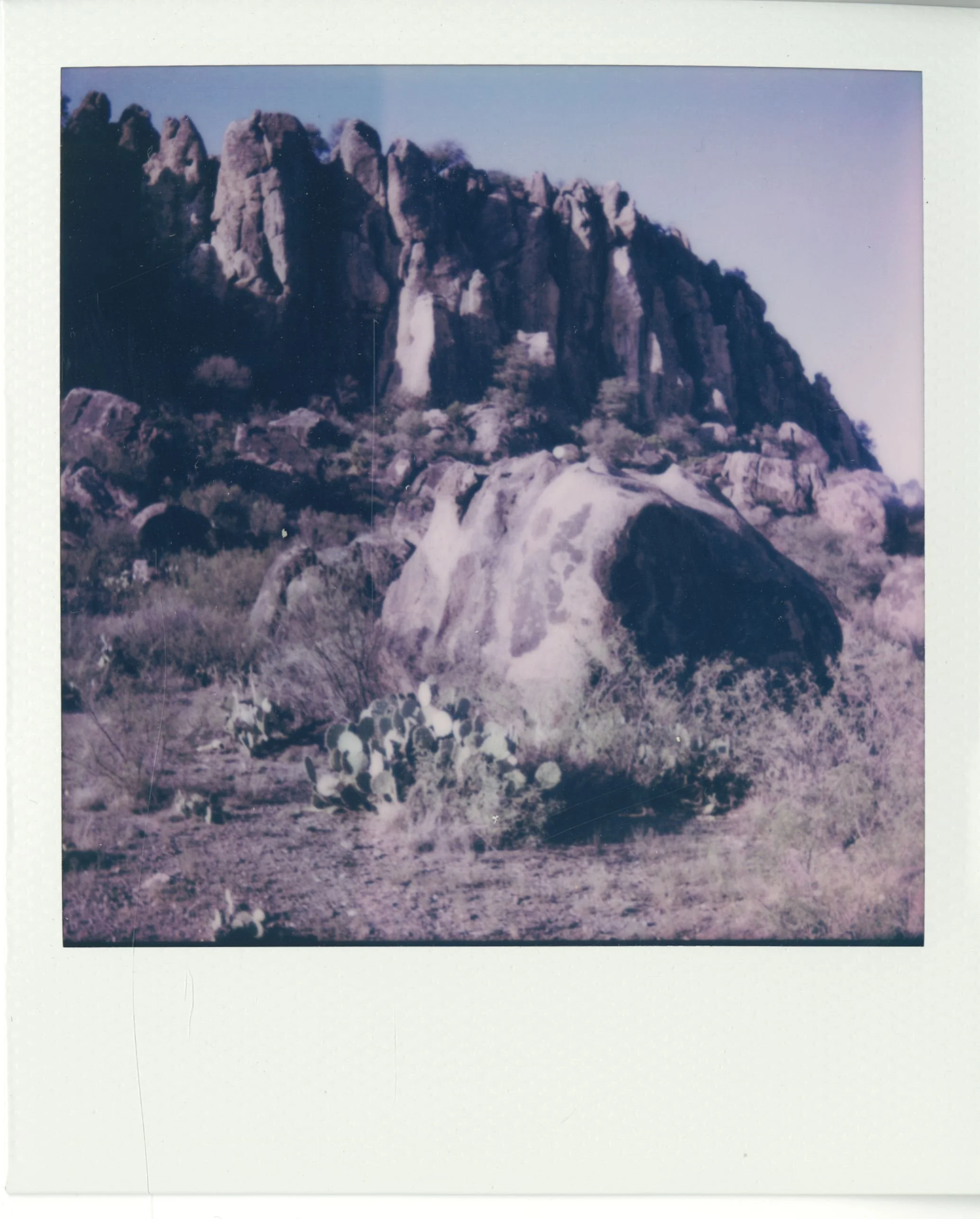 polaroid (15).jpg