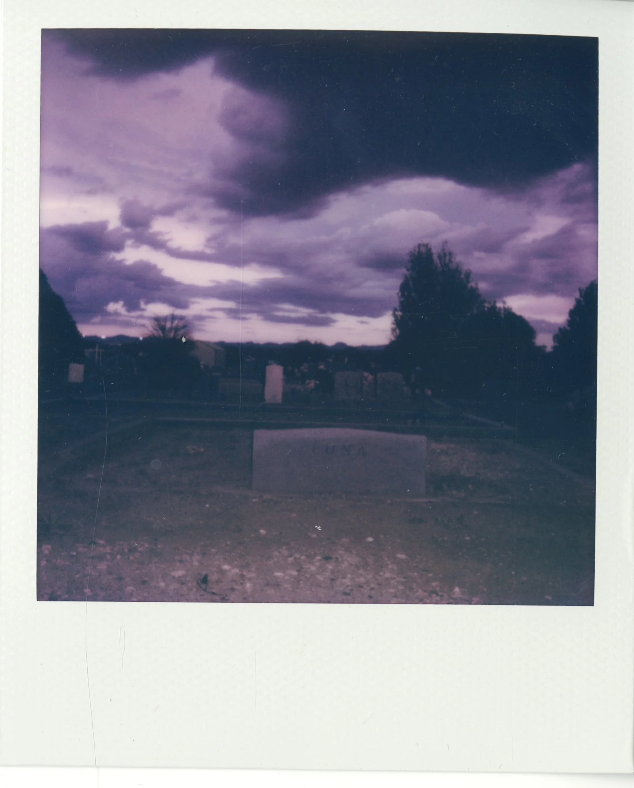 polaroid (19).jpg