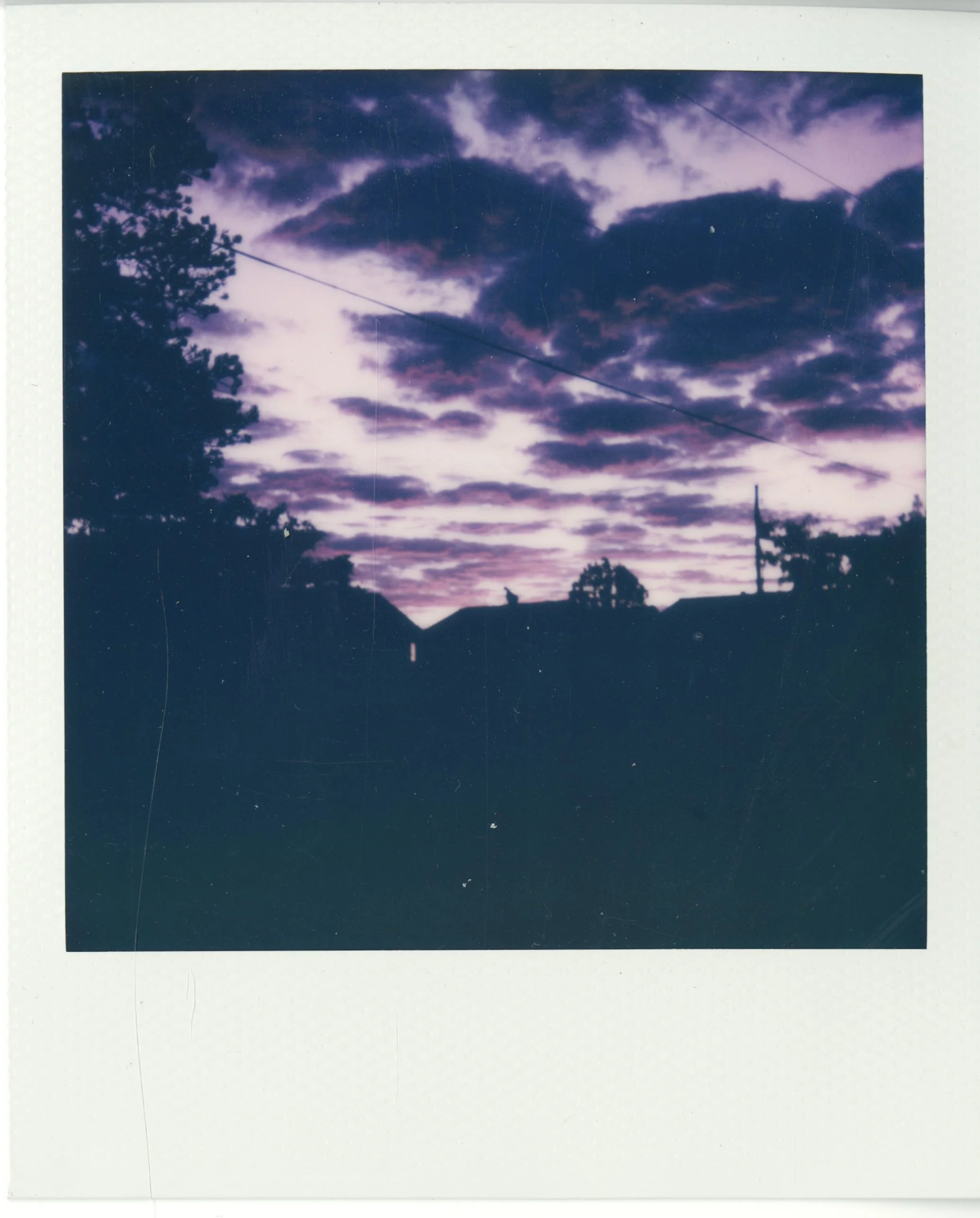 polaroid (22).jpg