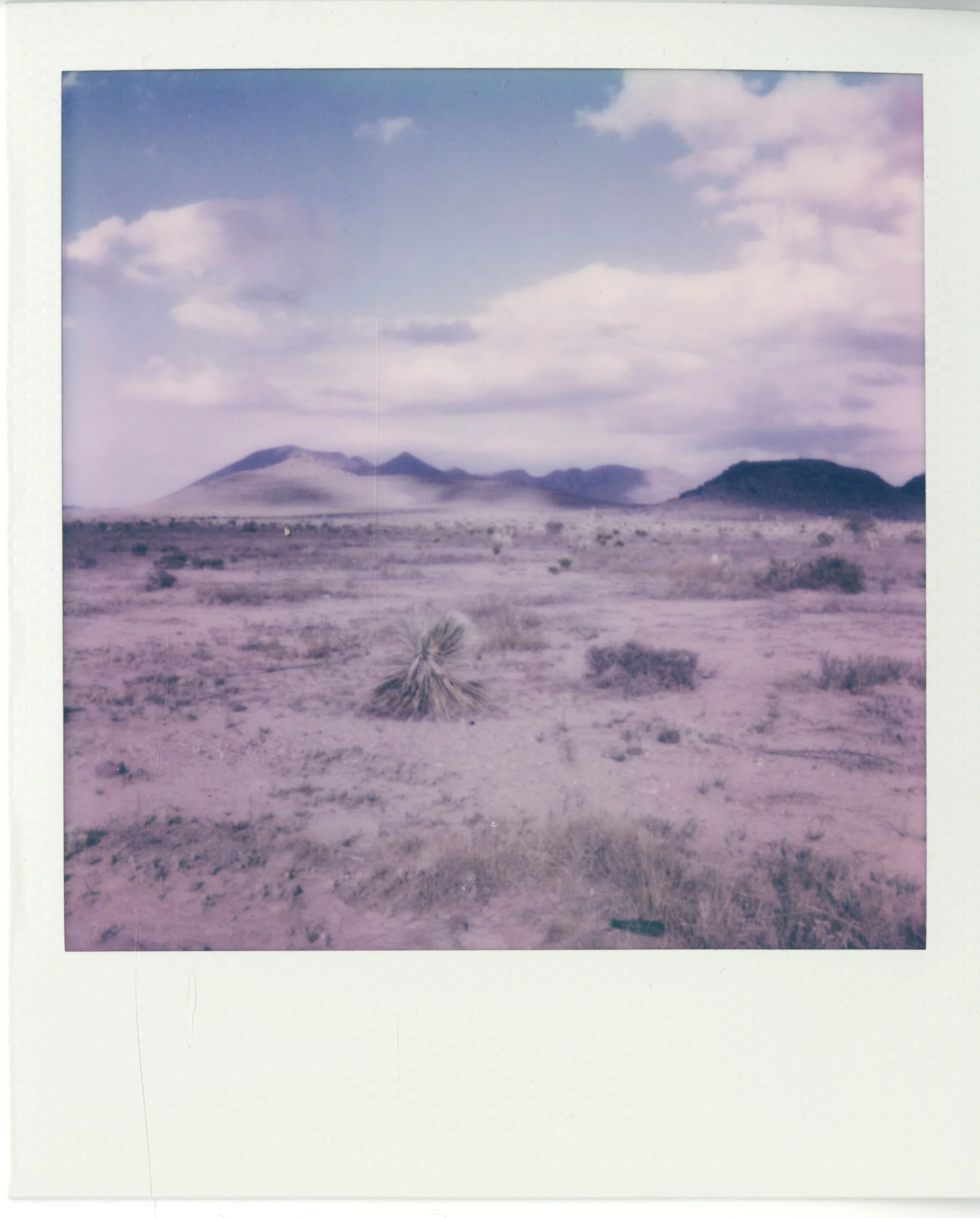 polaroid (25).jpg
