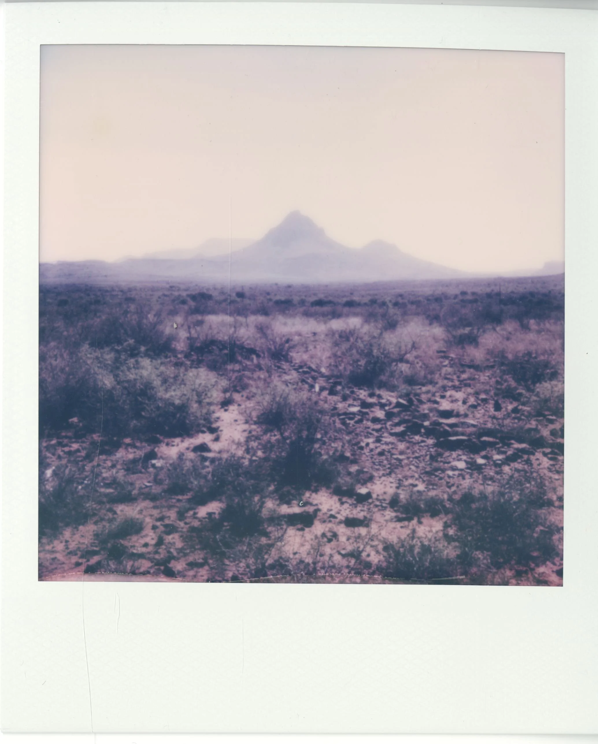 polaroid (27).jpg