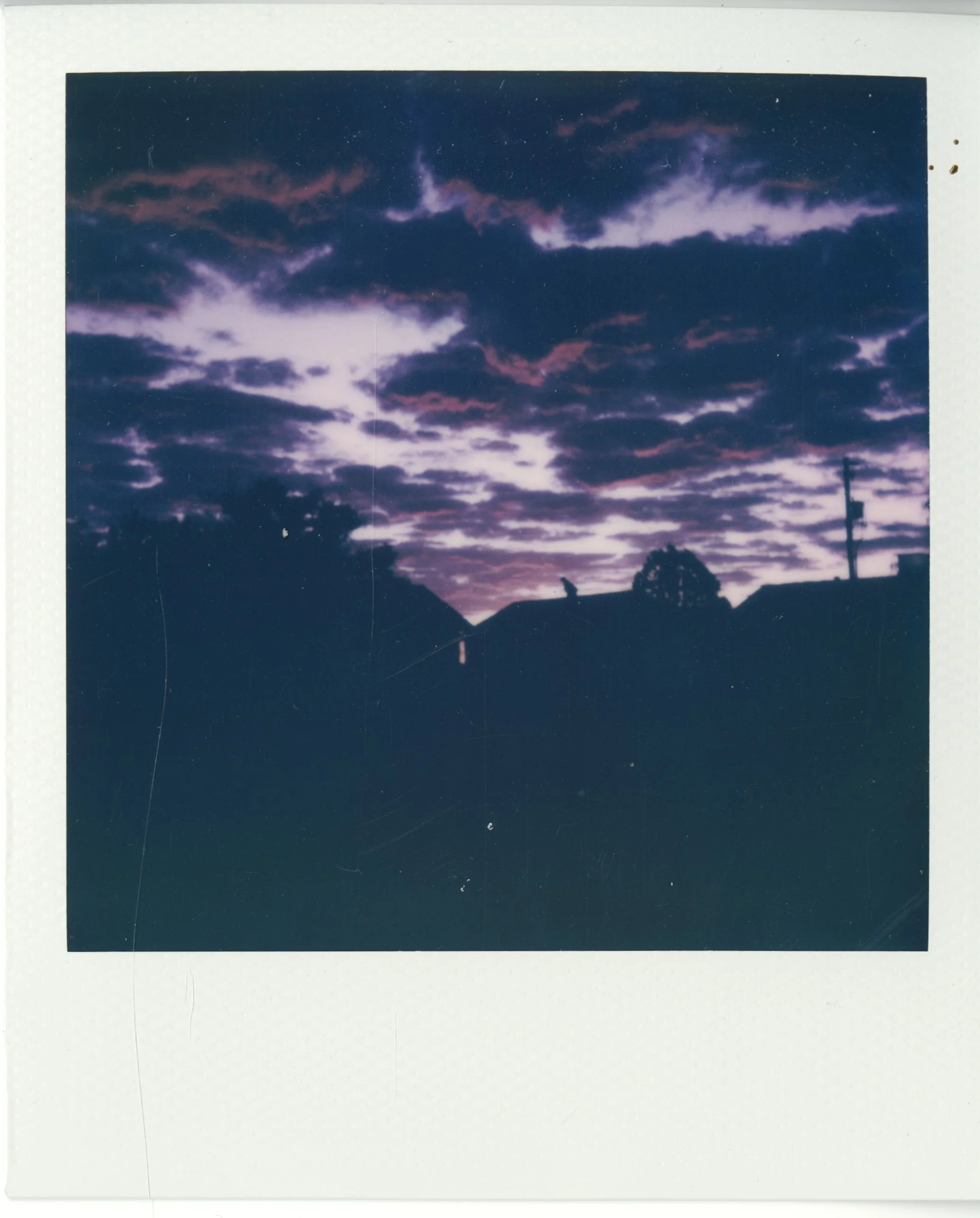 polaroid (28).jpg