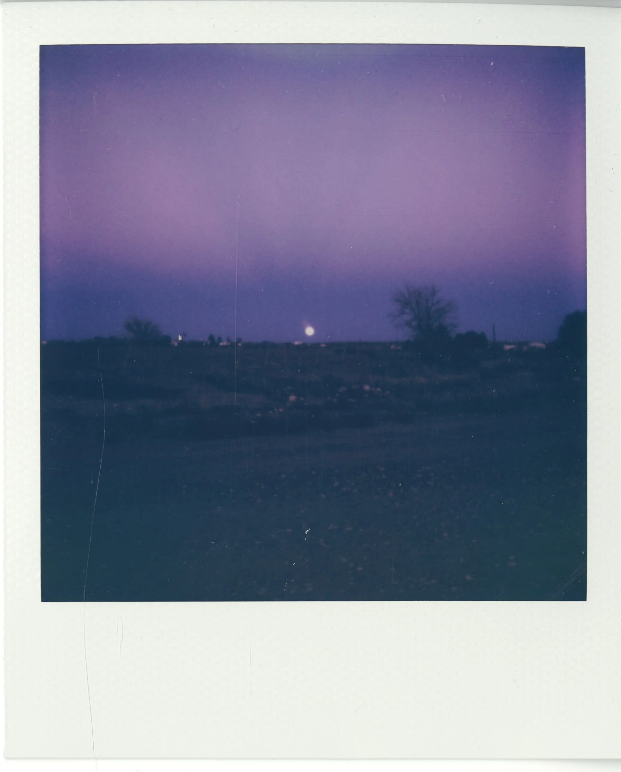 polaroid (29).jpg