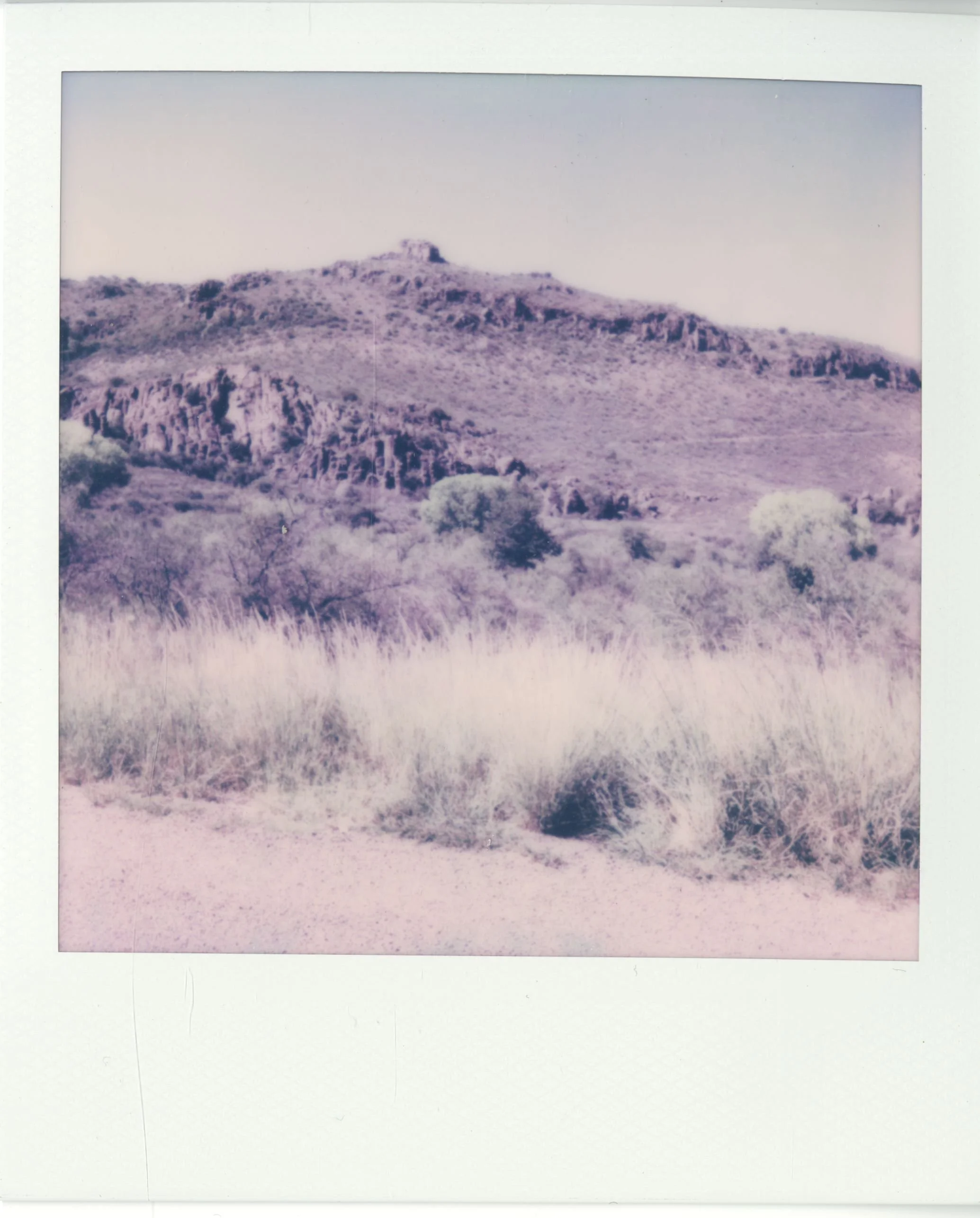 polaroid (32).jpg