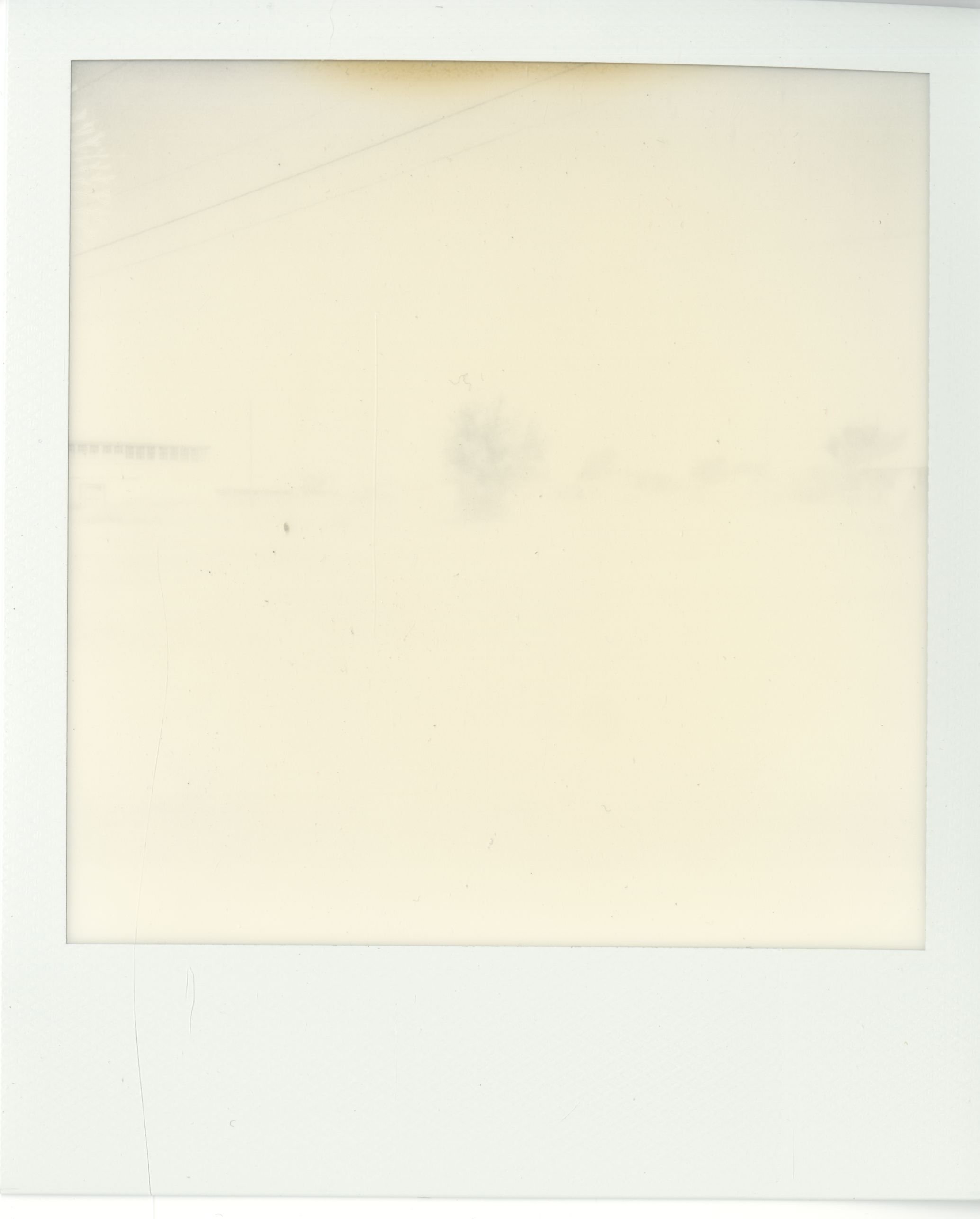 polaroid (33).jpg
