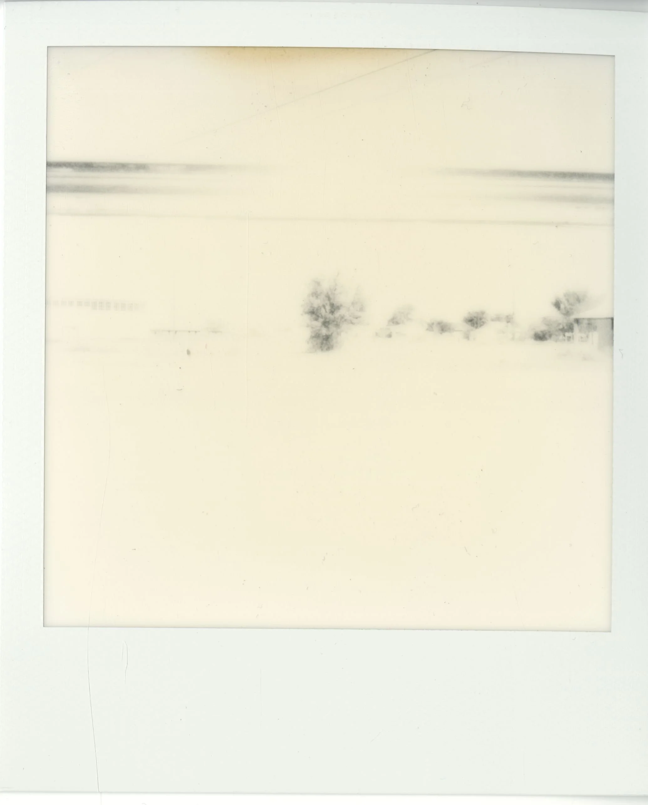 polaroid (34).jpg
