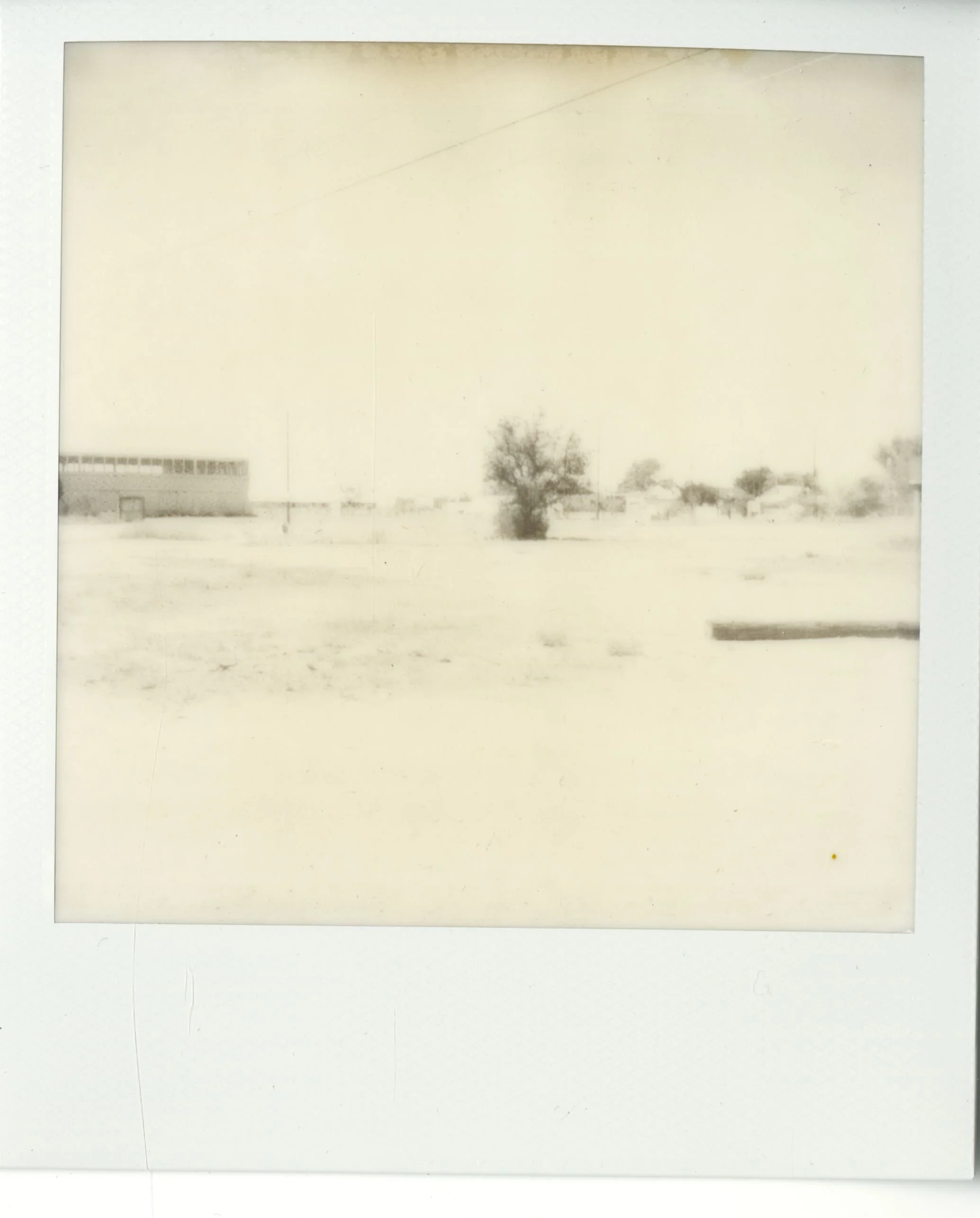 polaroid (35).jpg