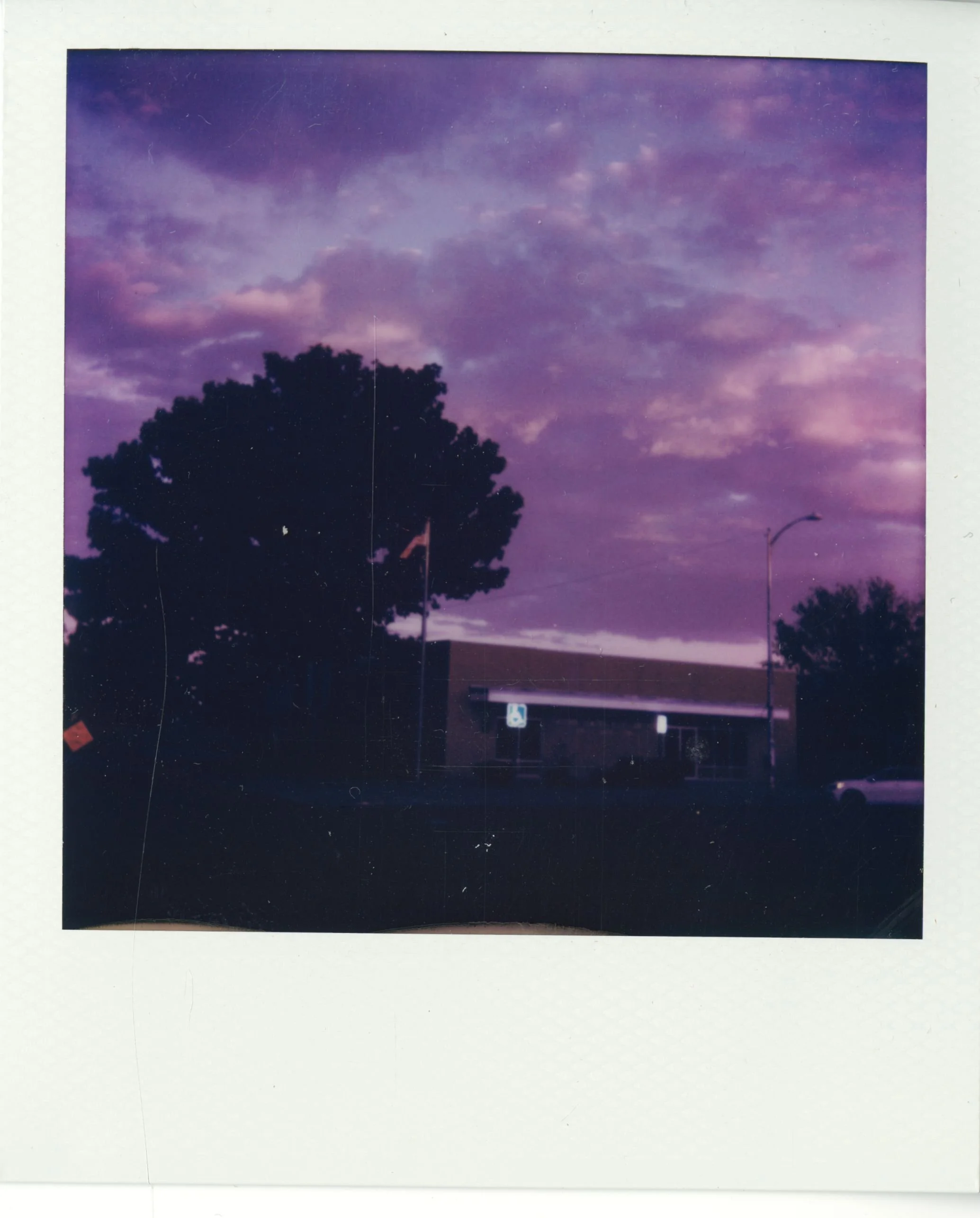 polaroid (36).jpg