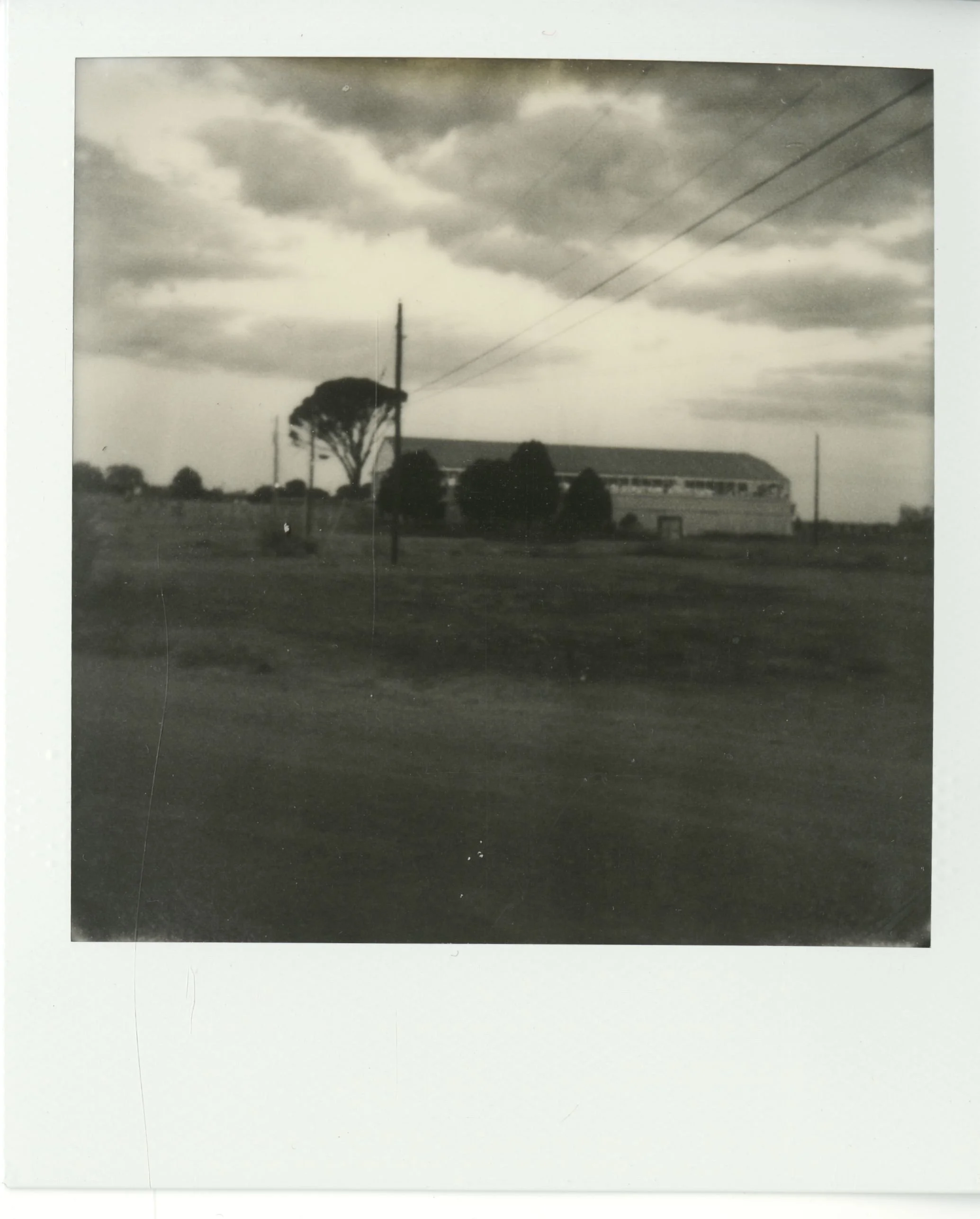 polaroid (46).jpg