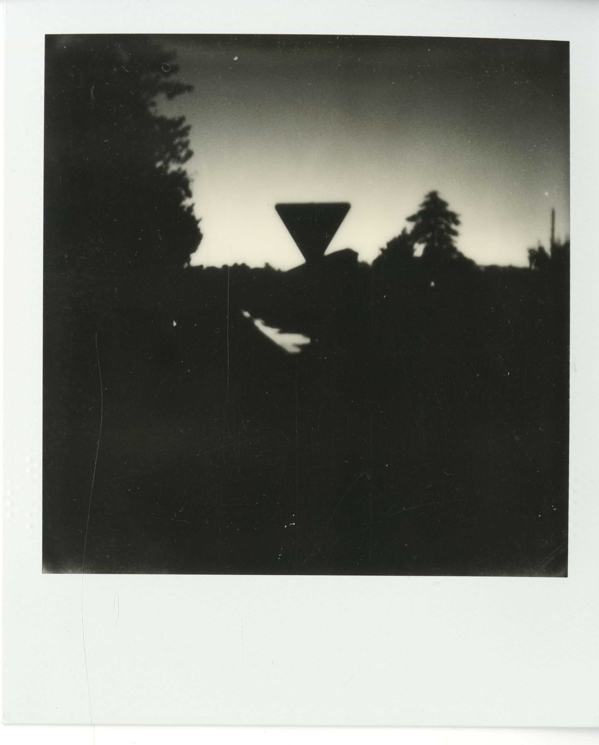 polaroid (52).jpg