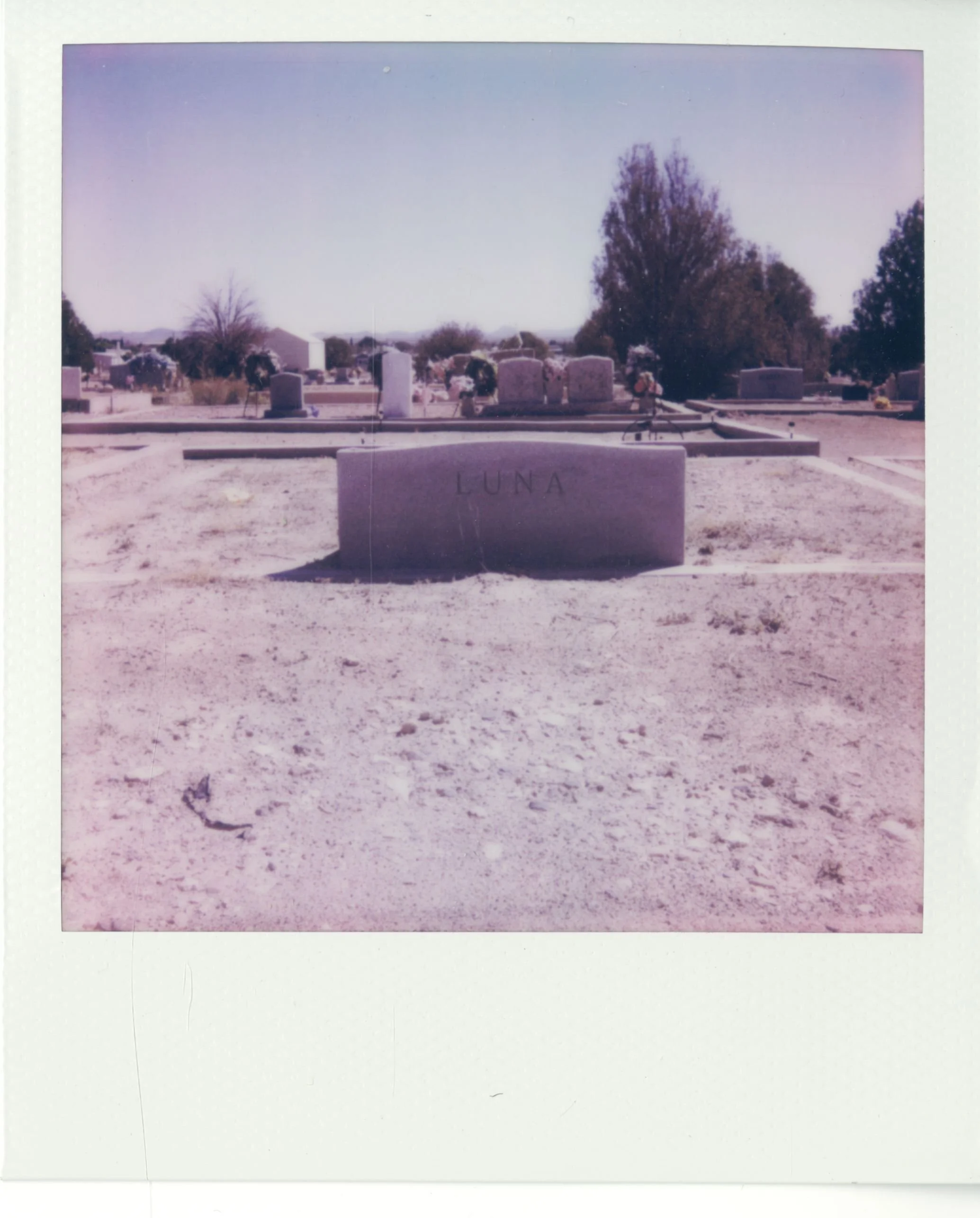 polaroid (55).jpg