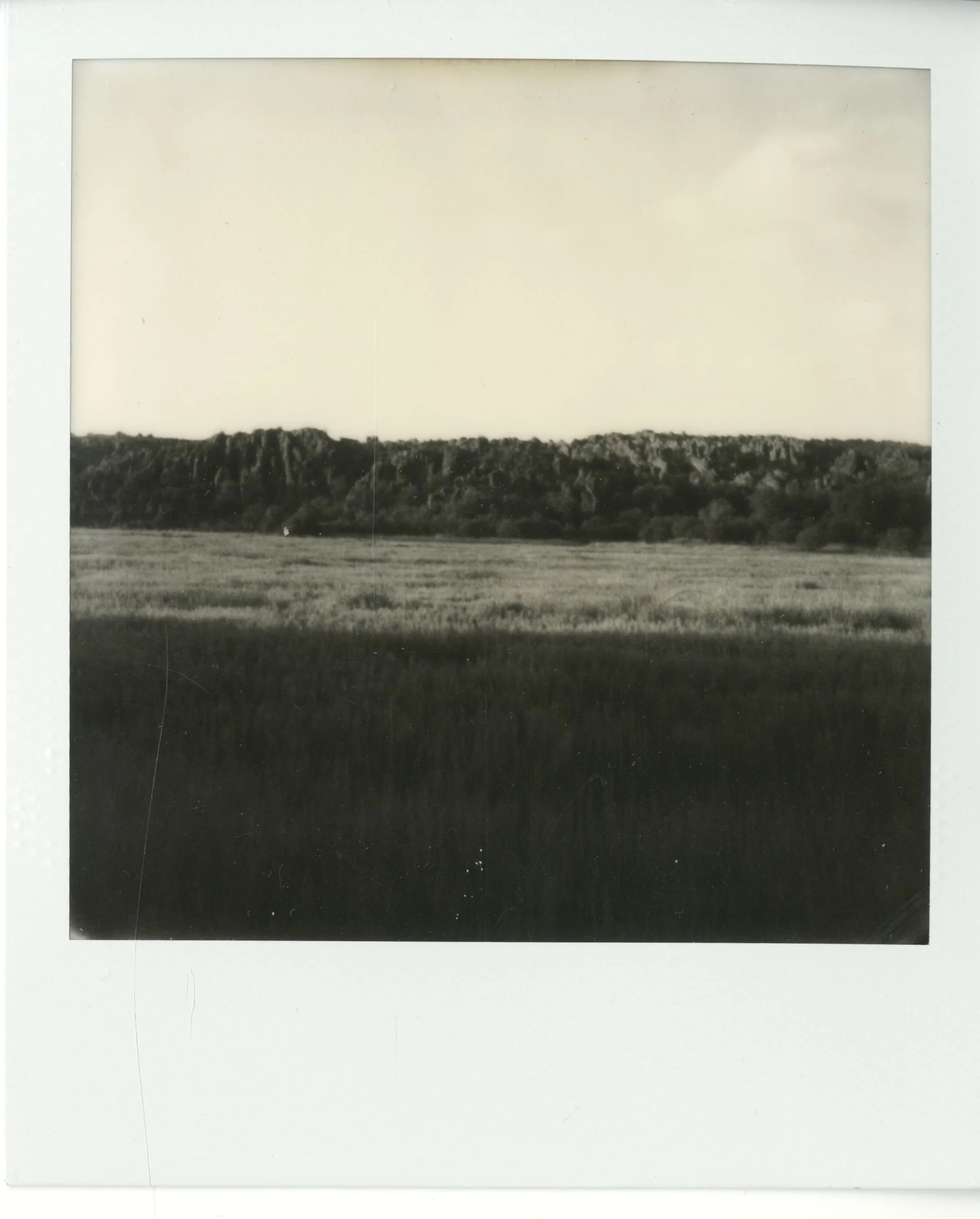 polaroid (56).jpg