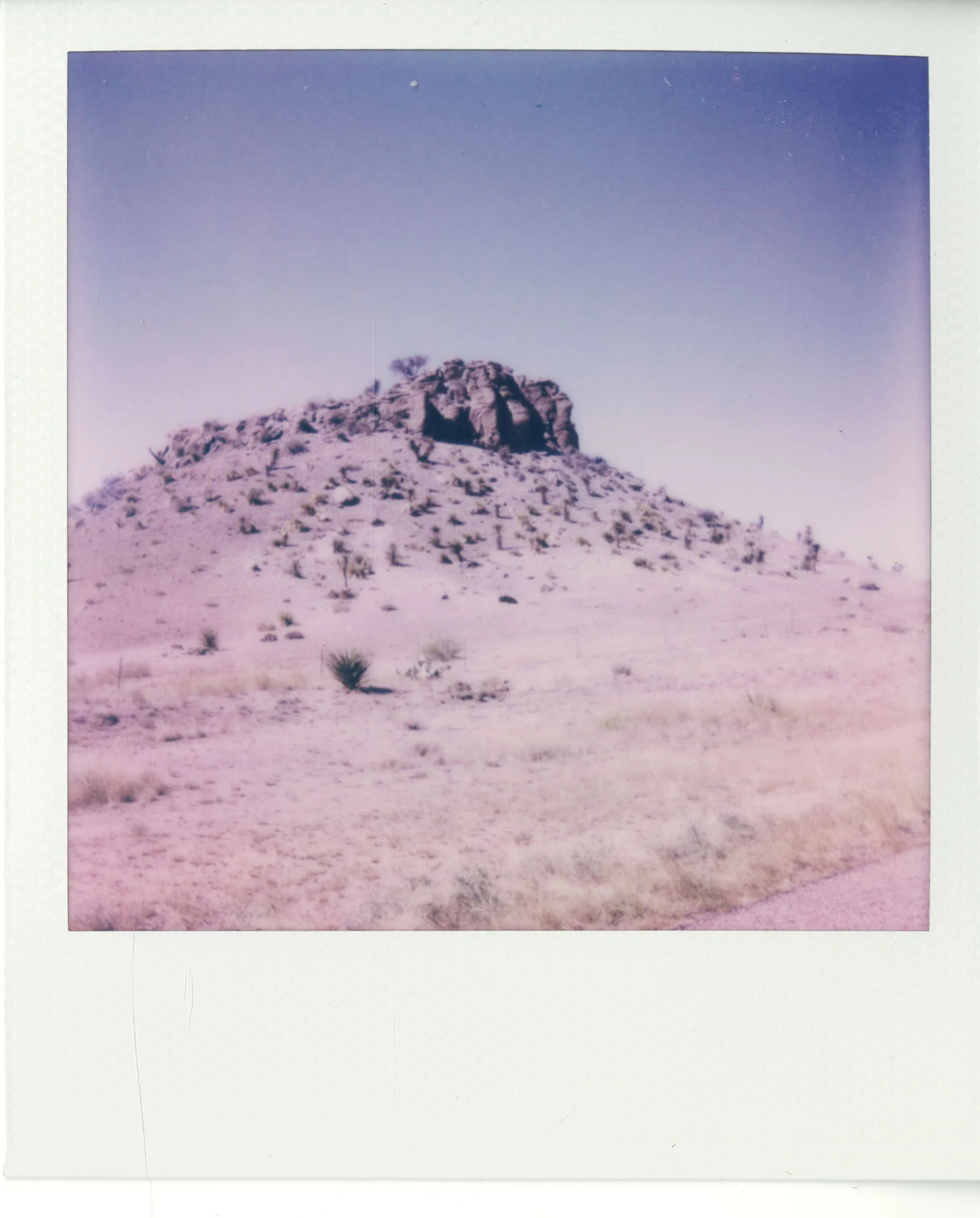 polaroid (61).jpg