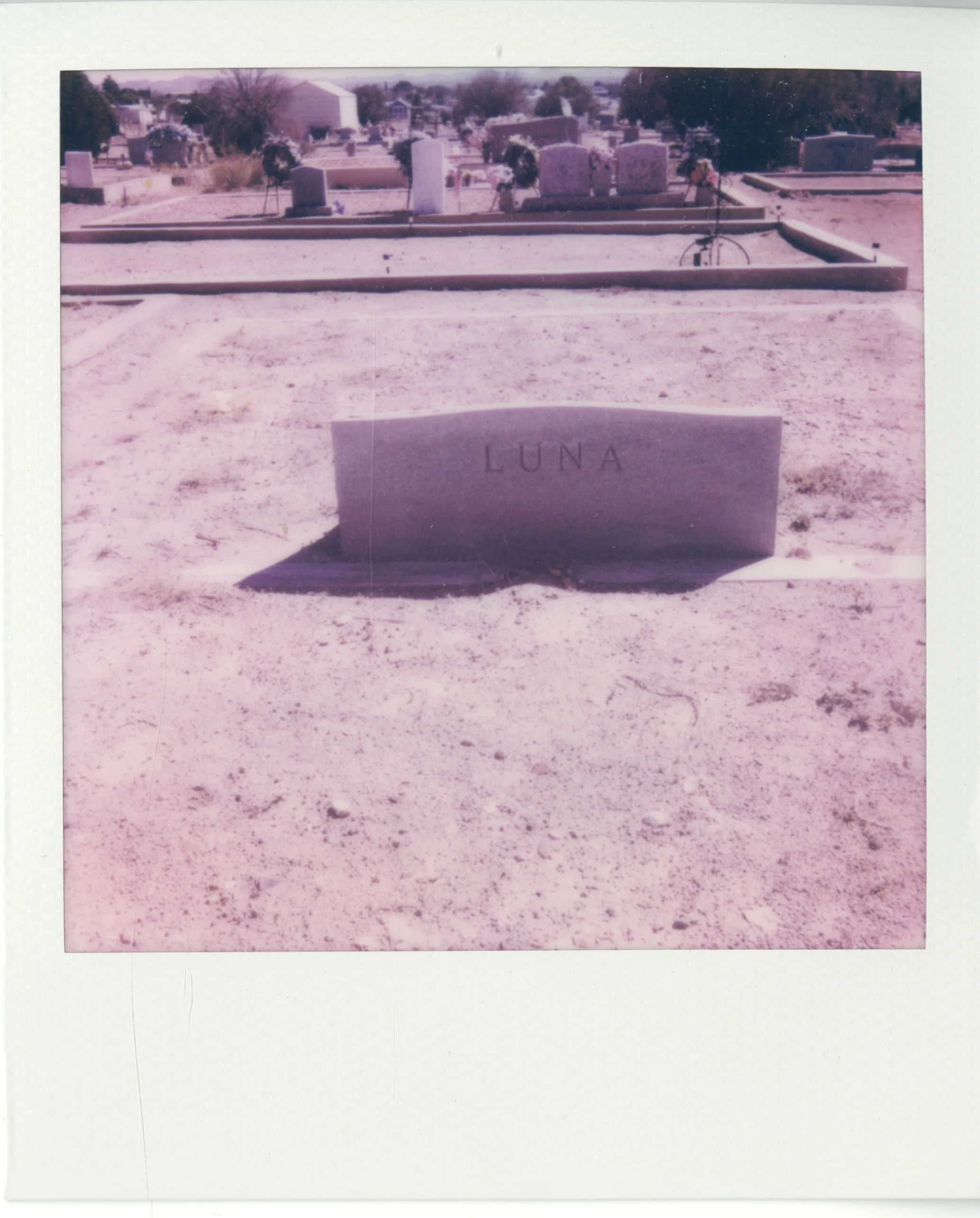 polaroid (62).jpg