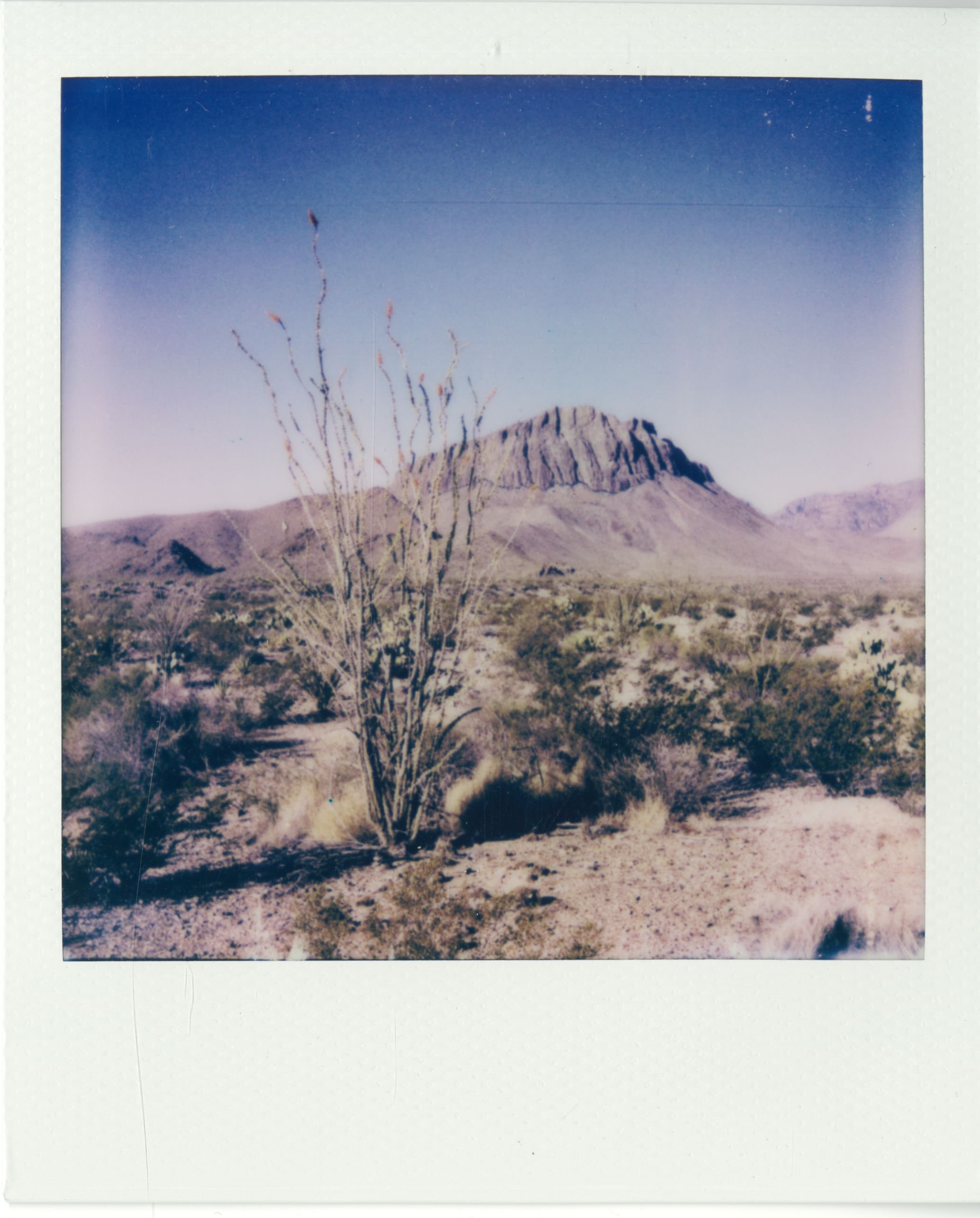 polaroid (71).jpg