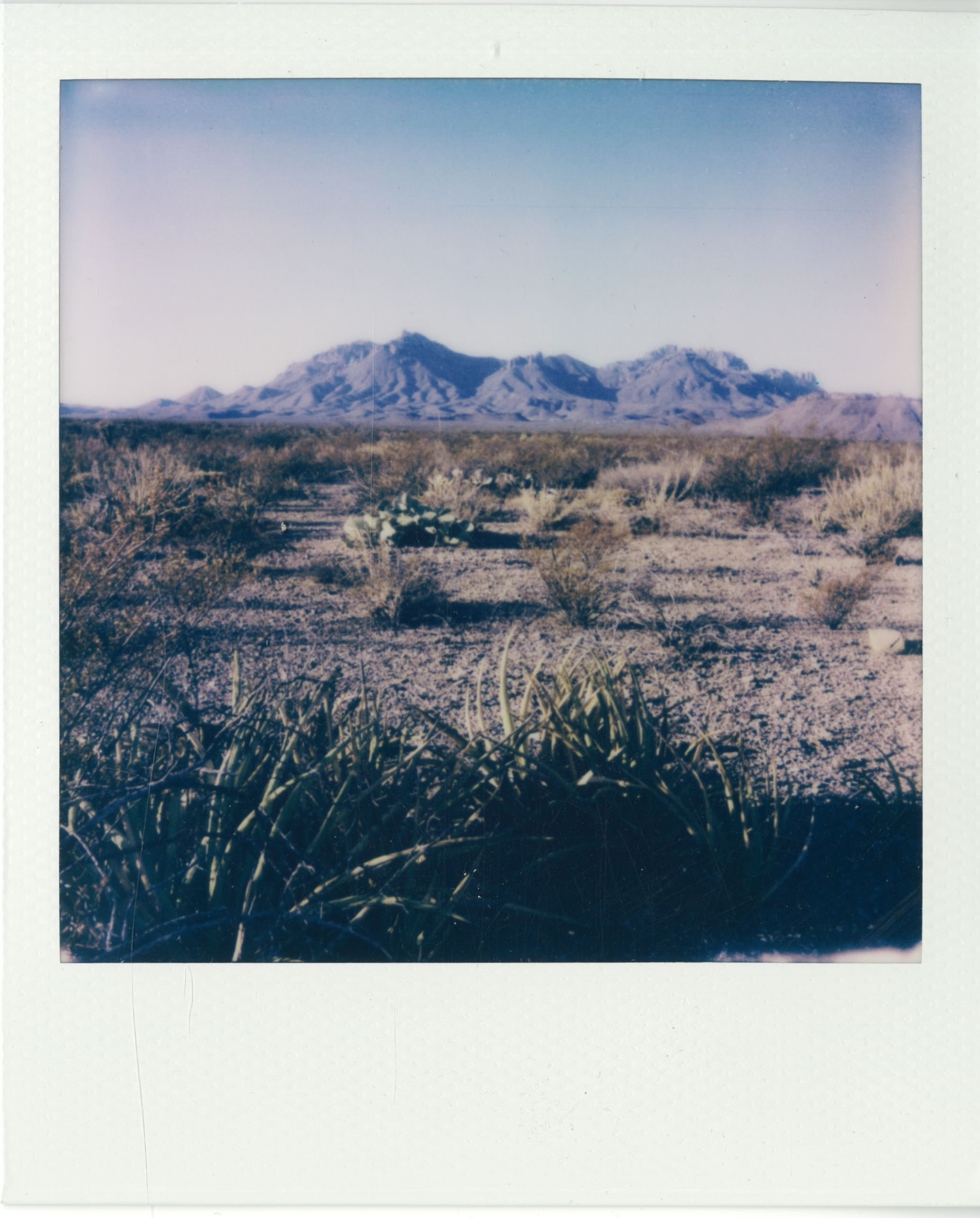 polaroid (72).jpg