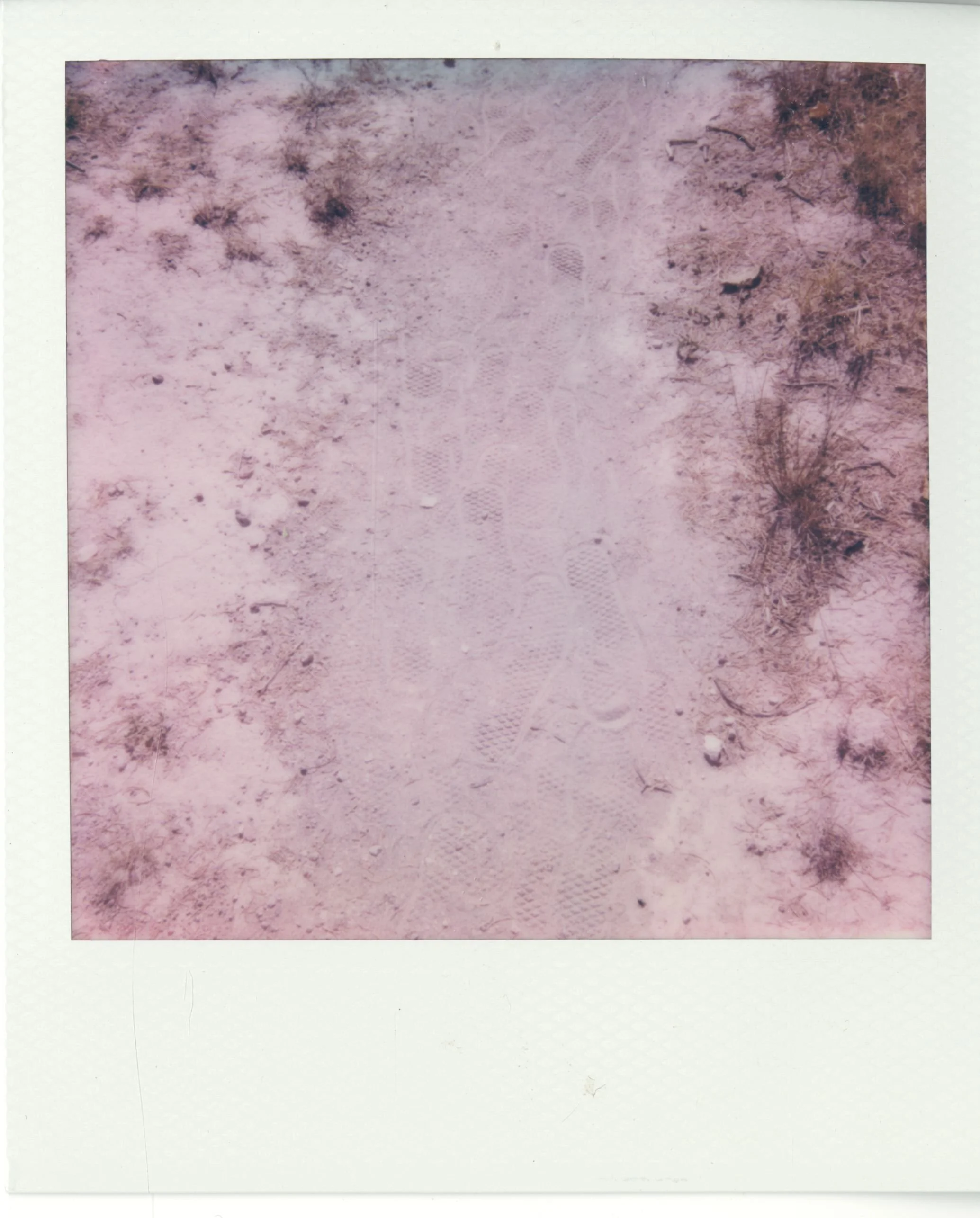 polaroid (75).jpg