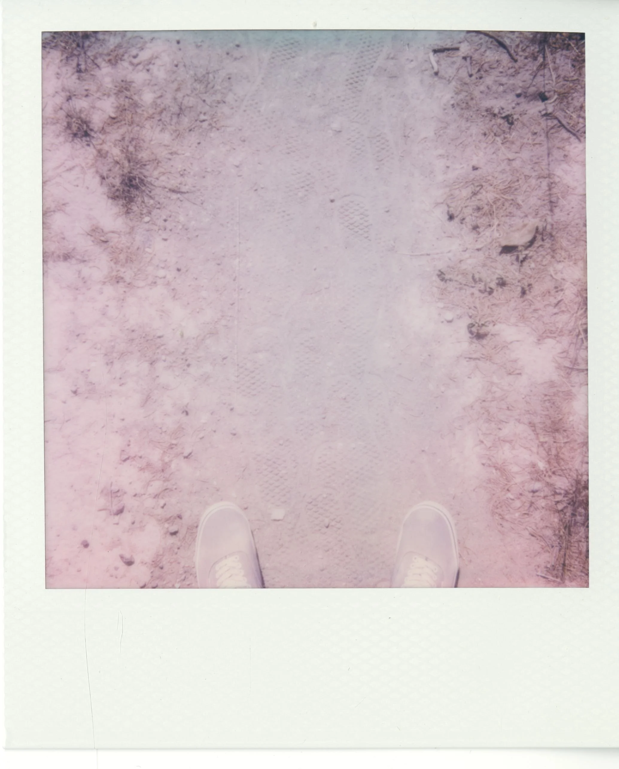 polaroid (76).jpg