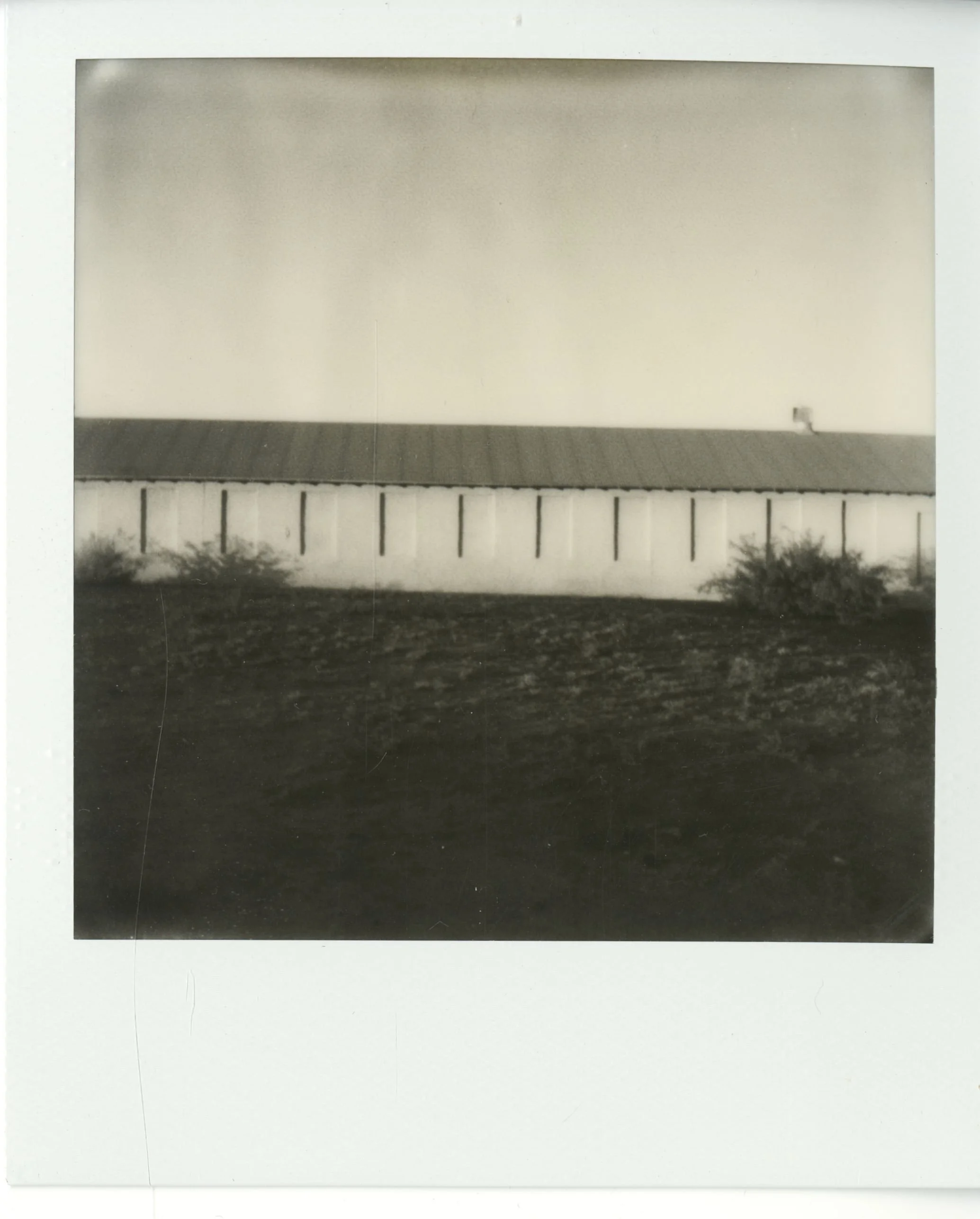 polaroid (82).jpg